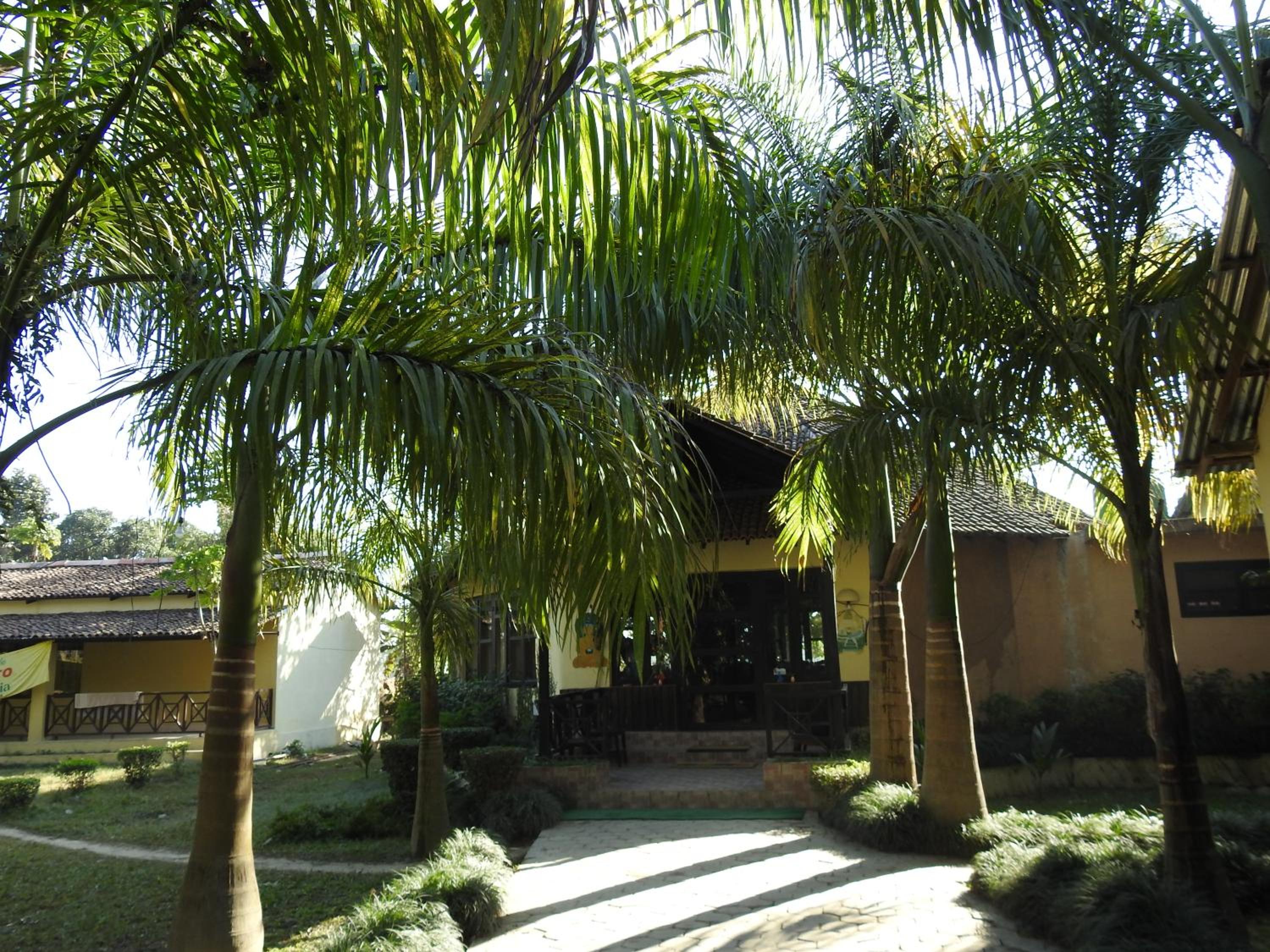 Rhino Lodge Bardia Pvt Ltd