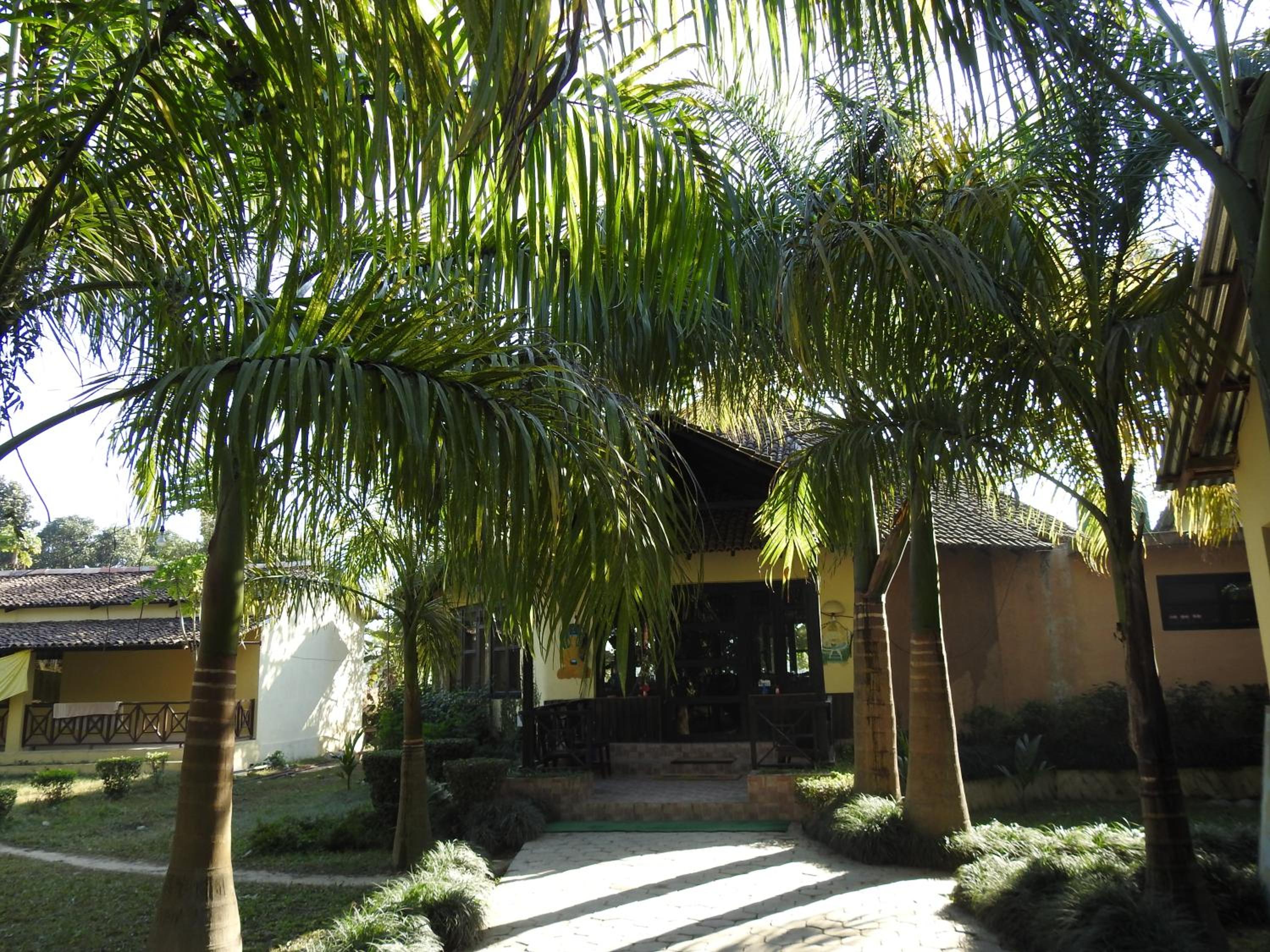 Rhino Lodge Bardia Pvt Ltd