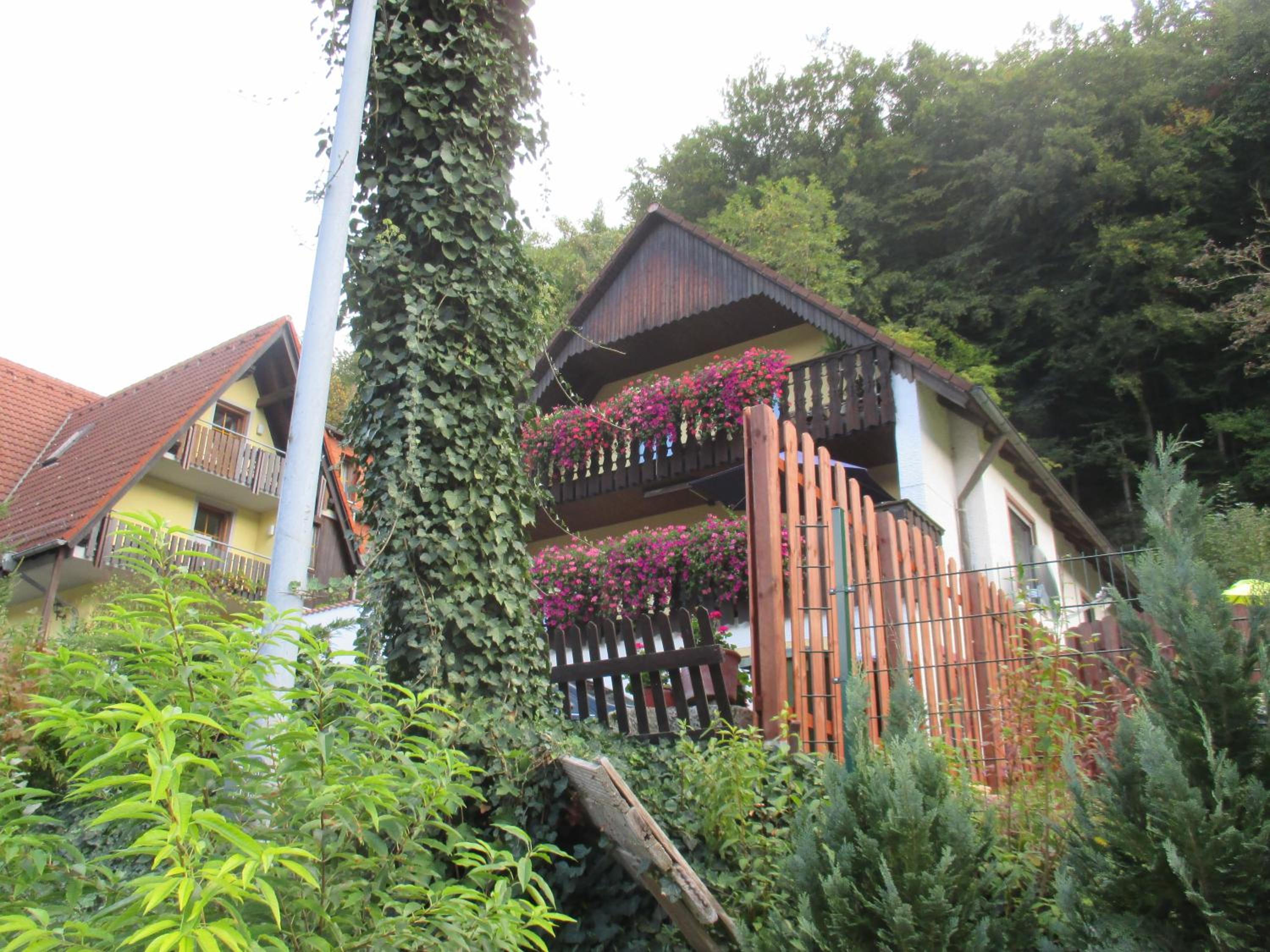 Photo 6