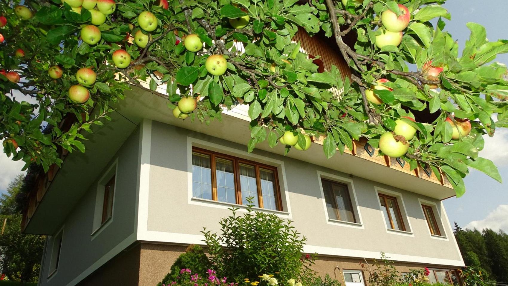Ferienwohnung Greim