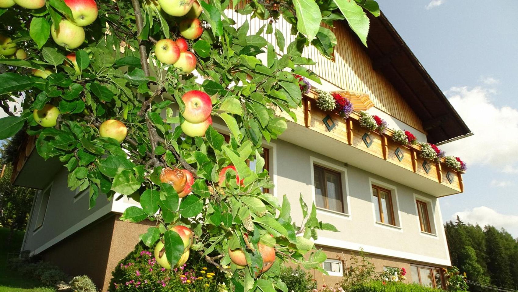 Ferienwohnung Greim