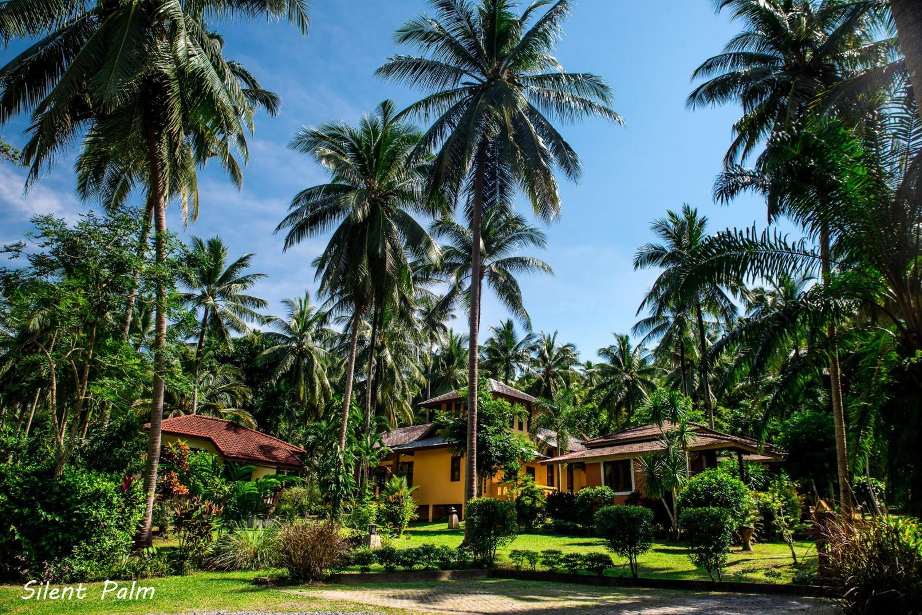 Hotel Silent Palm Samui - Image 1