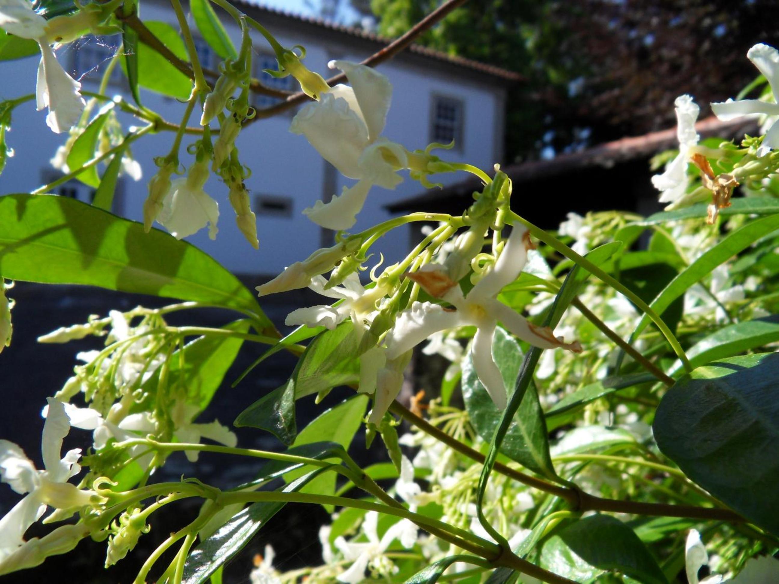Photo 33