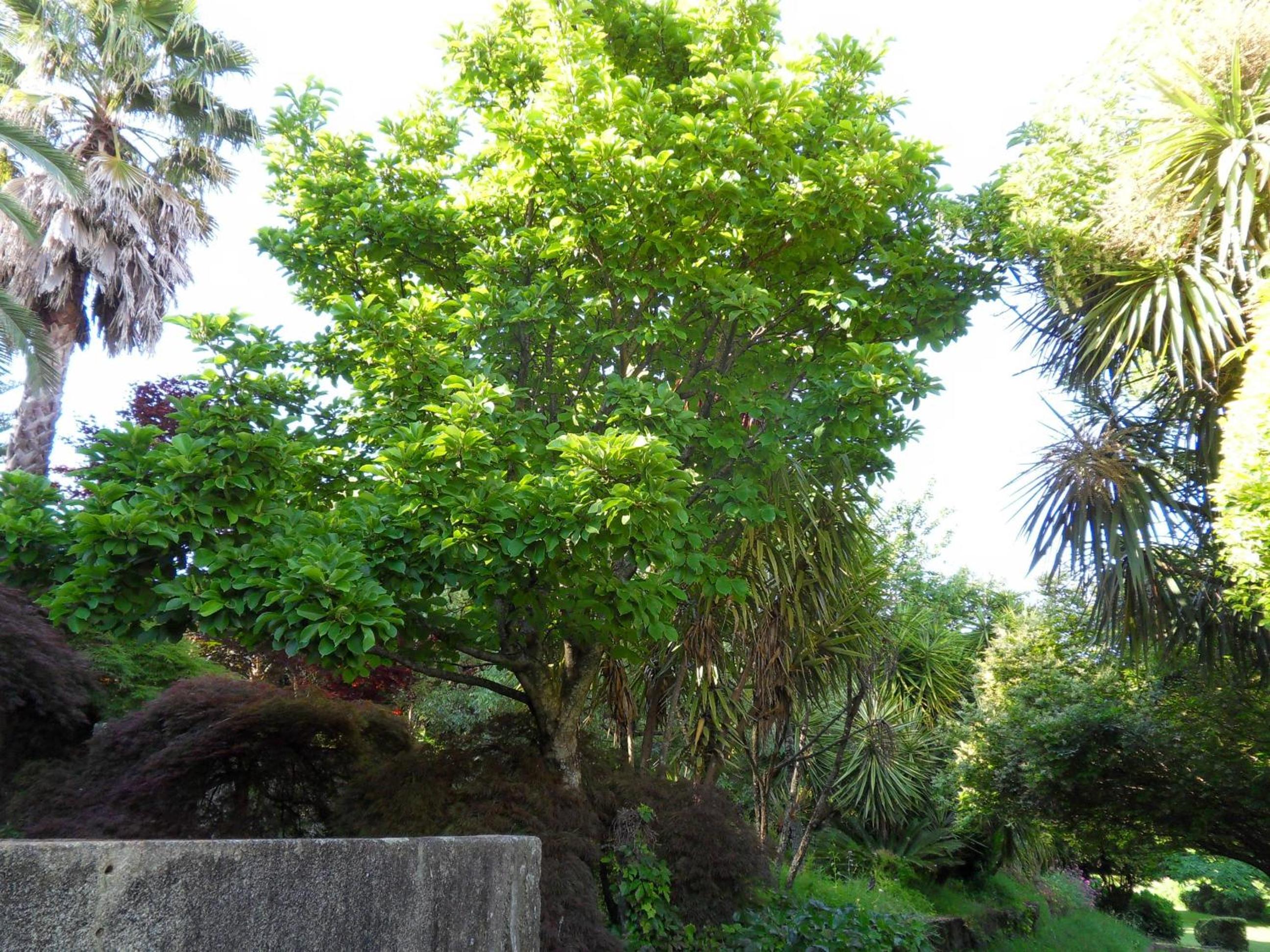 Photo 34