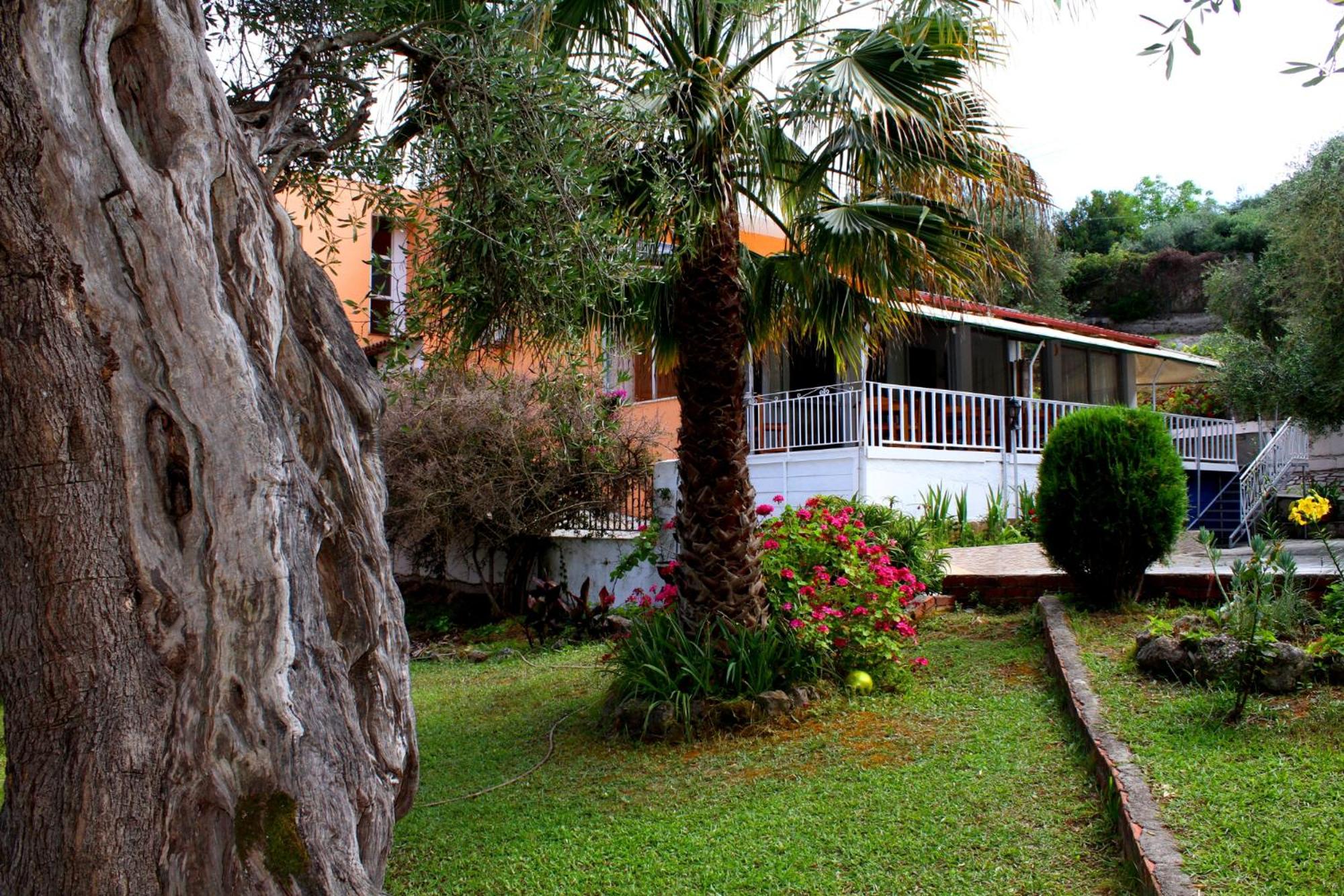 Hotel Tina Hotel - Image 1