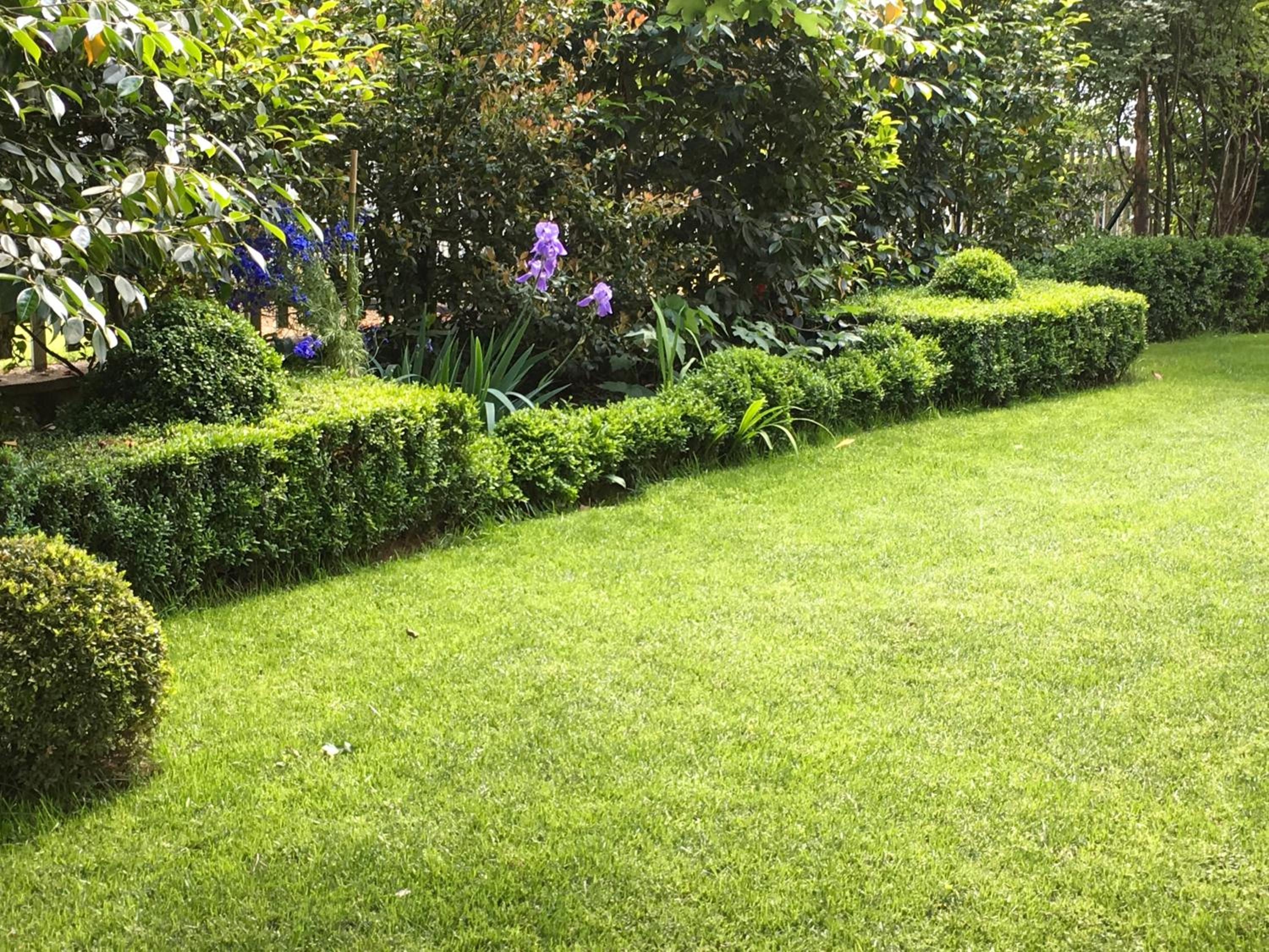 Photo 51