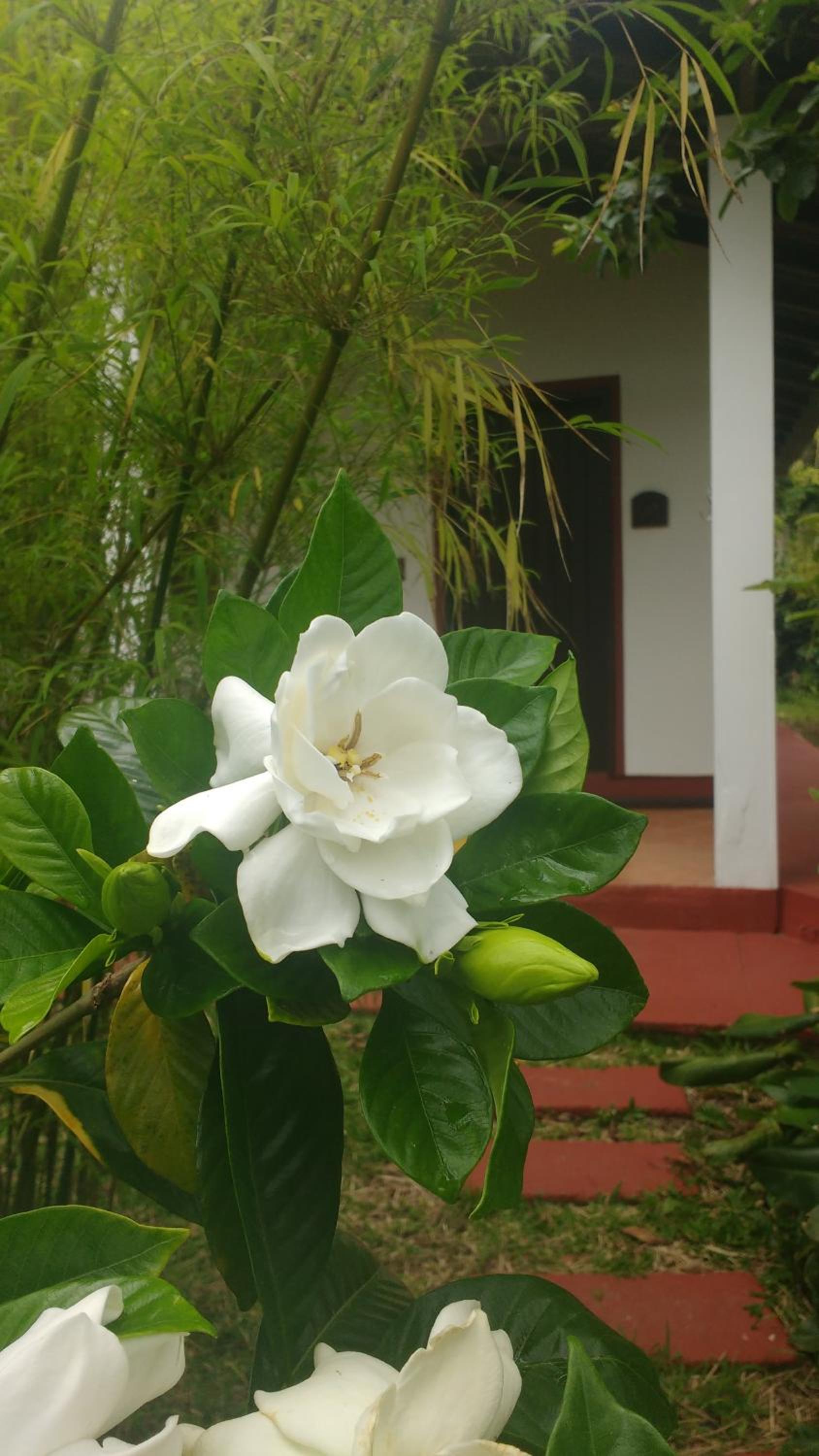 Photo 24