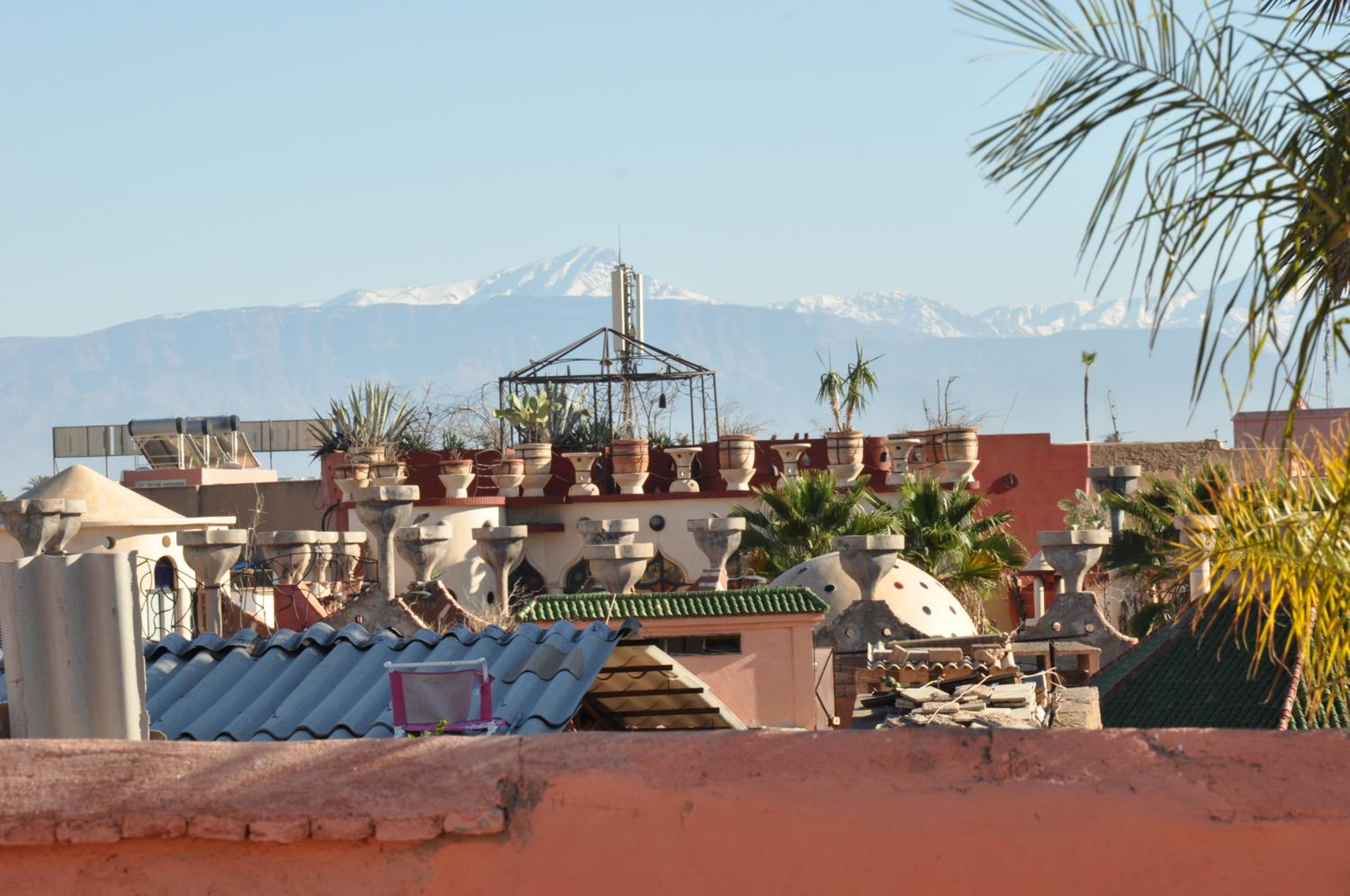 roof