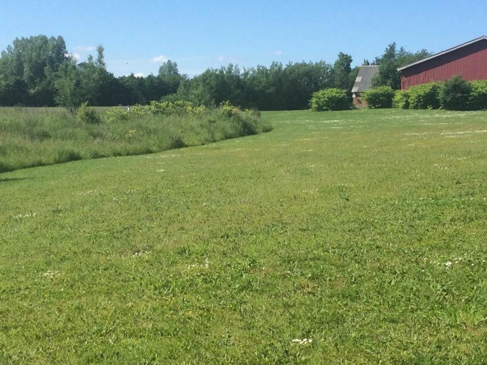 Hvilested view 3