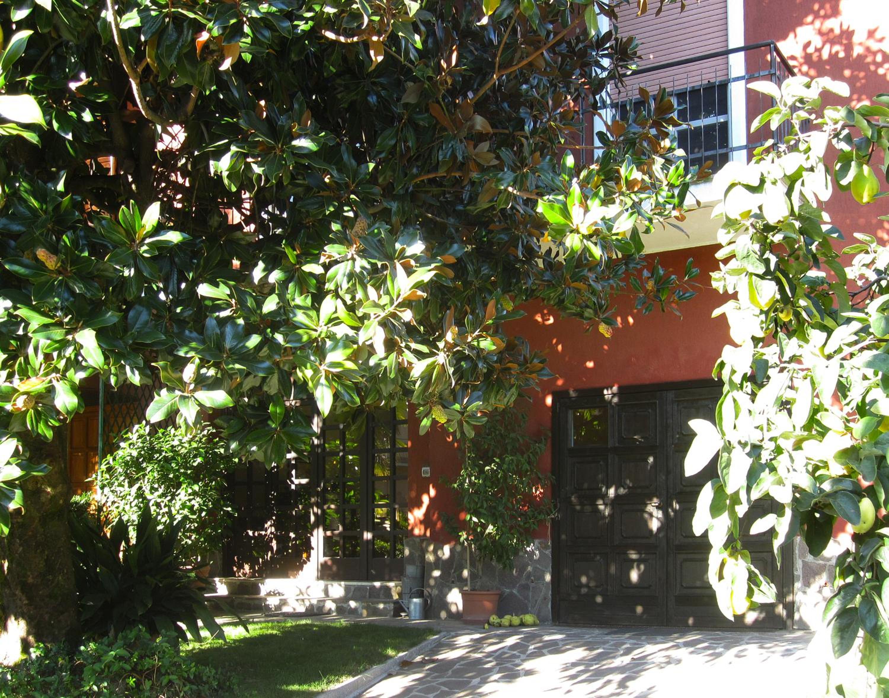 Photo 48