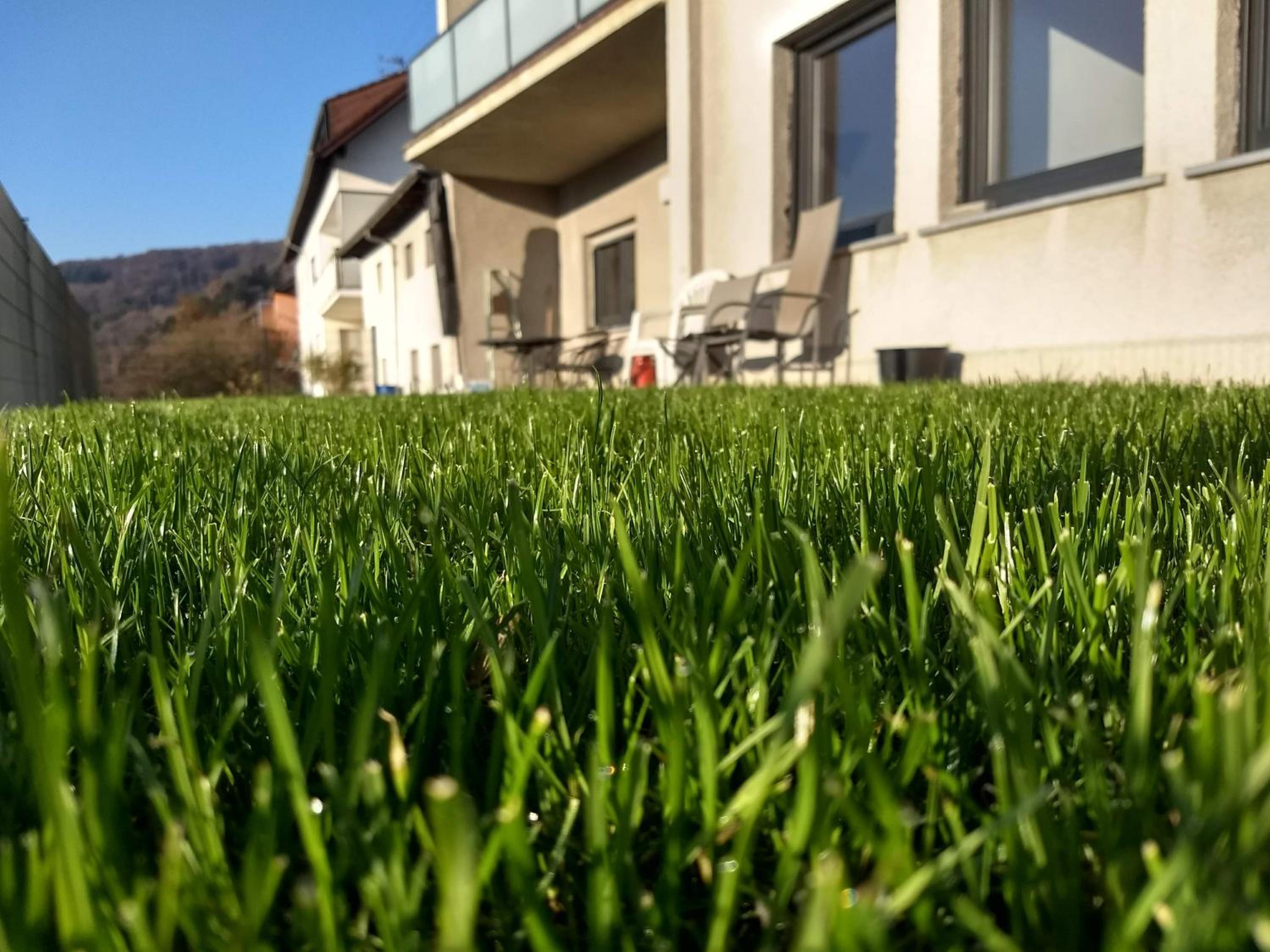 Ferienhaus Fräulein Frenz