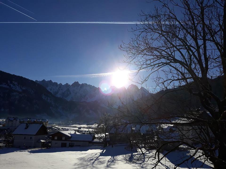 Dachstein view ski apartment