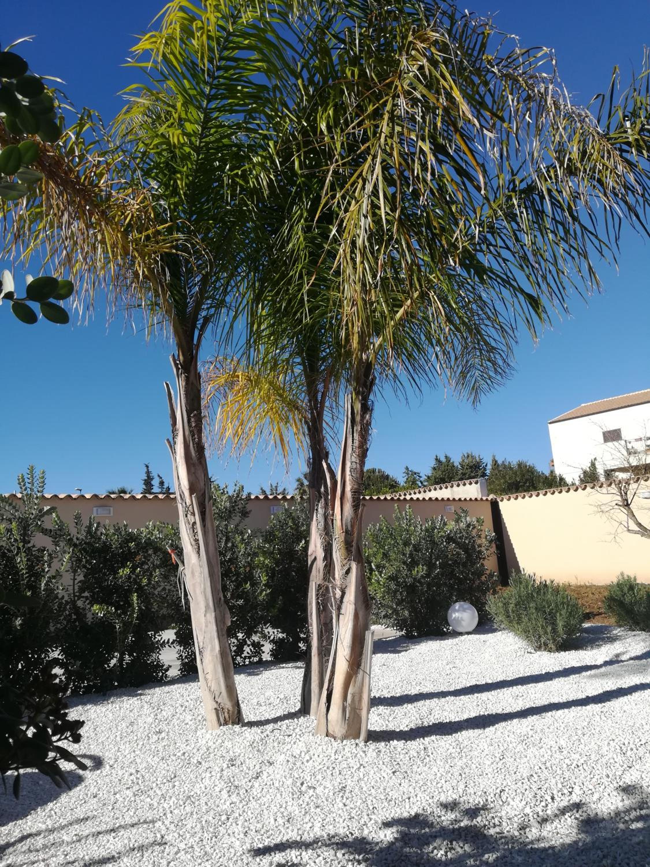 B&b A Due Passi Dal Sole