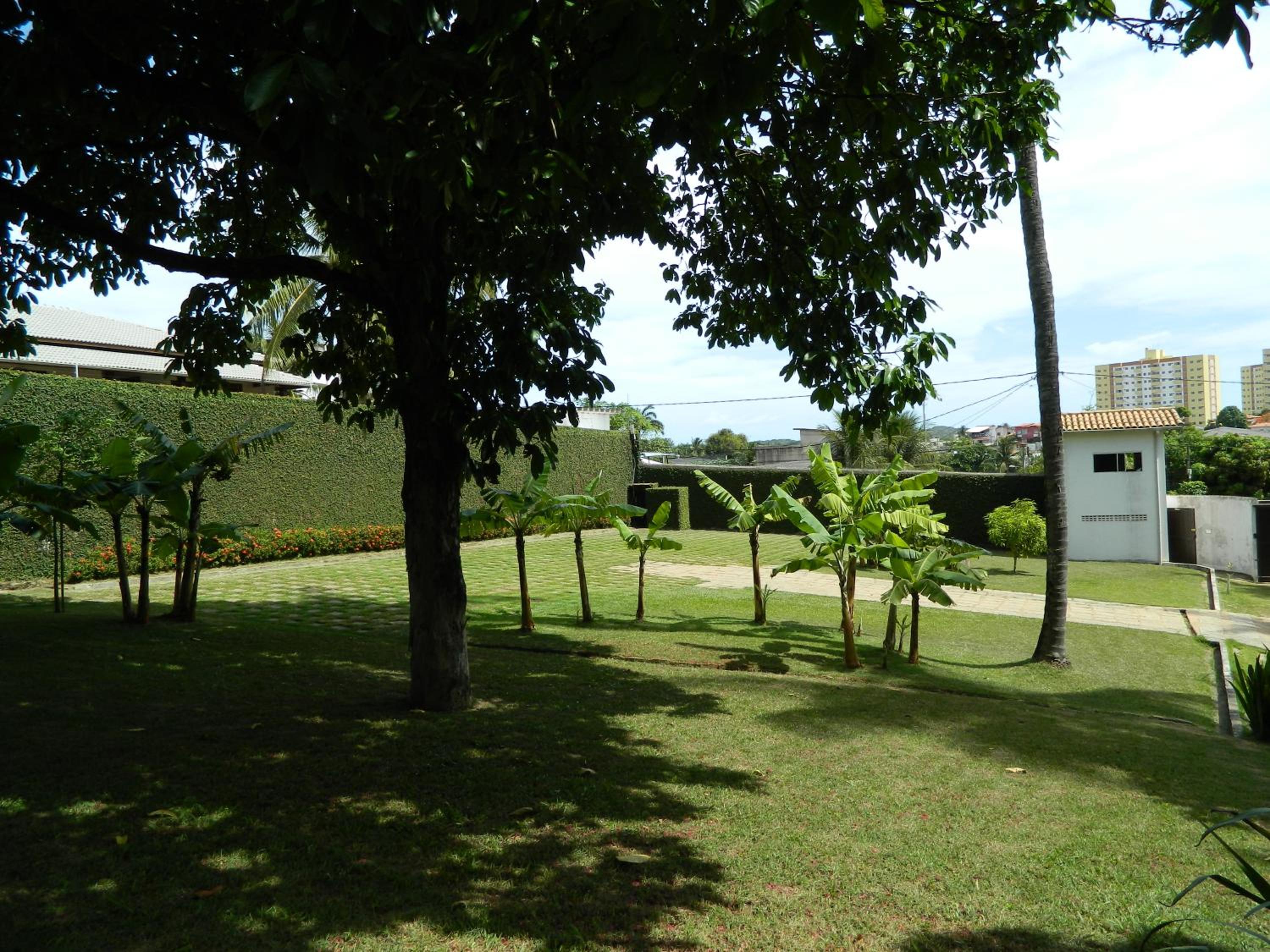 Photo 29