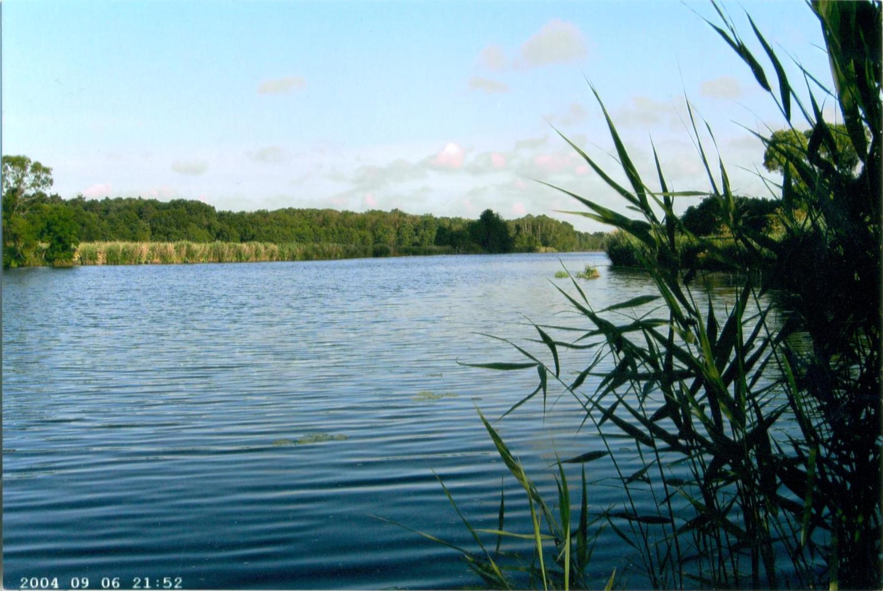 Photo 34