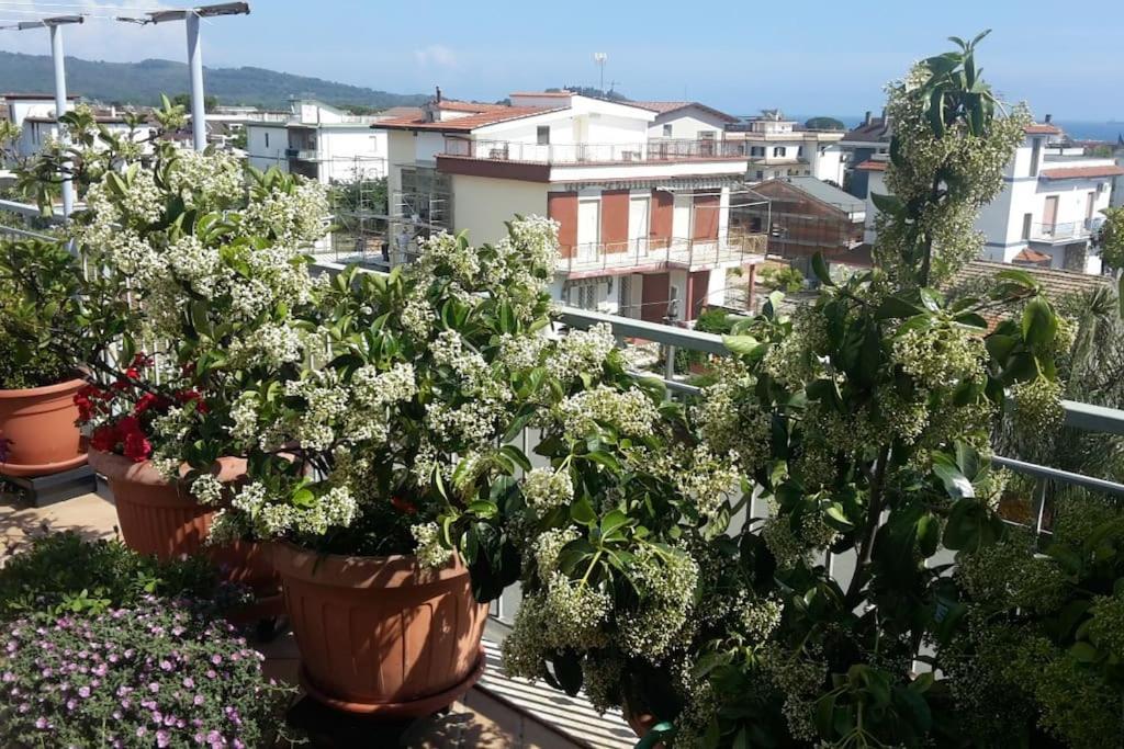 Appartamento o Dépendance - Soluzioni Abitative a Pochi Passi dal Mare photo 2
