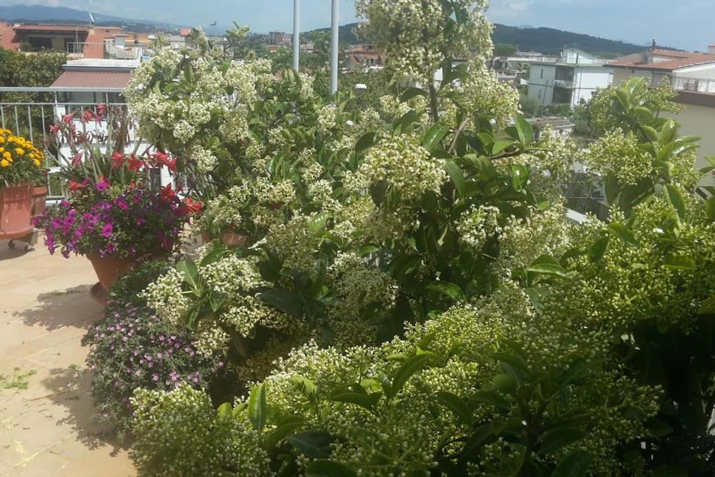 Appartamento o Dépendance - Soluzioni Abitative a Pochi Passi dal Mare photo 4
