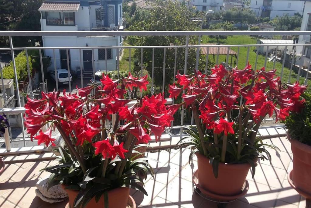 Appartamento o Dépendance - Soluzioni Abitative a Pochi Passi dal Mare photo 3