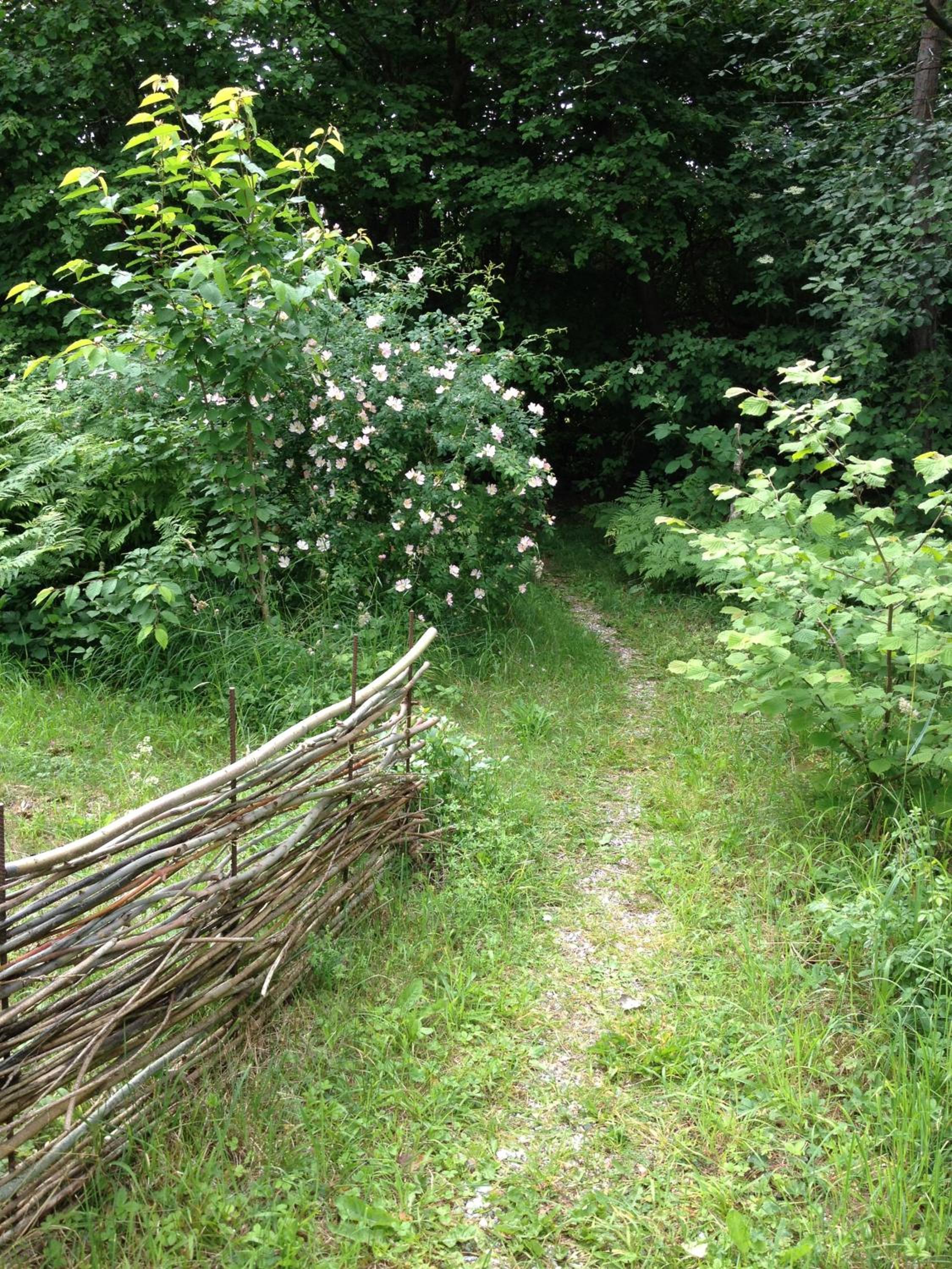 Brissund view 5