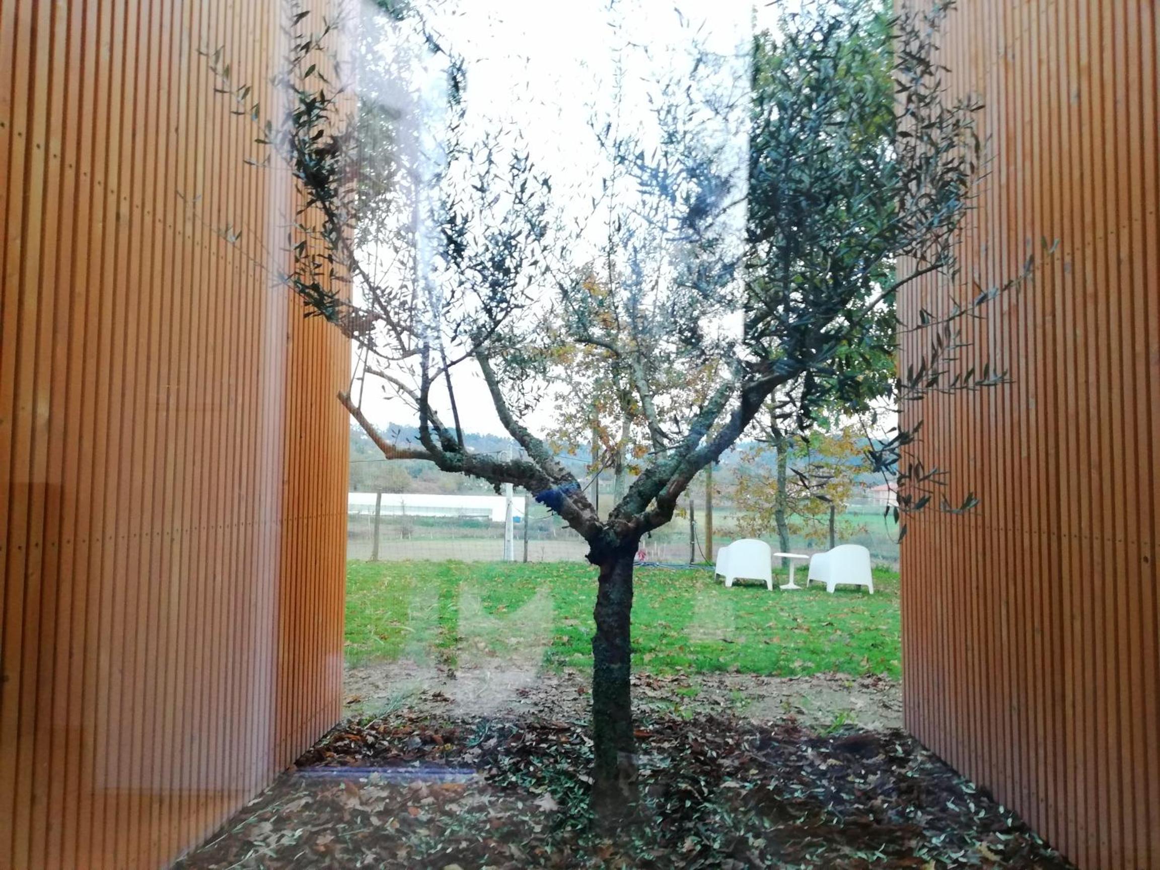 Quinta do Olival