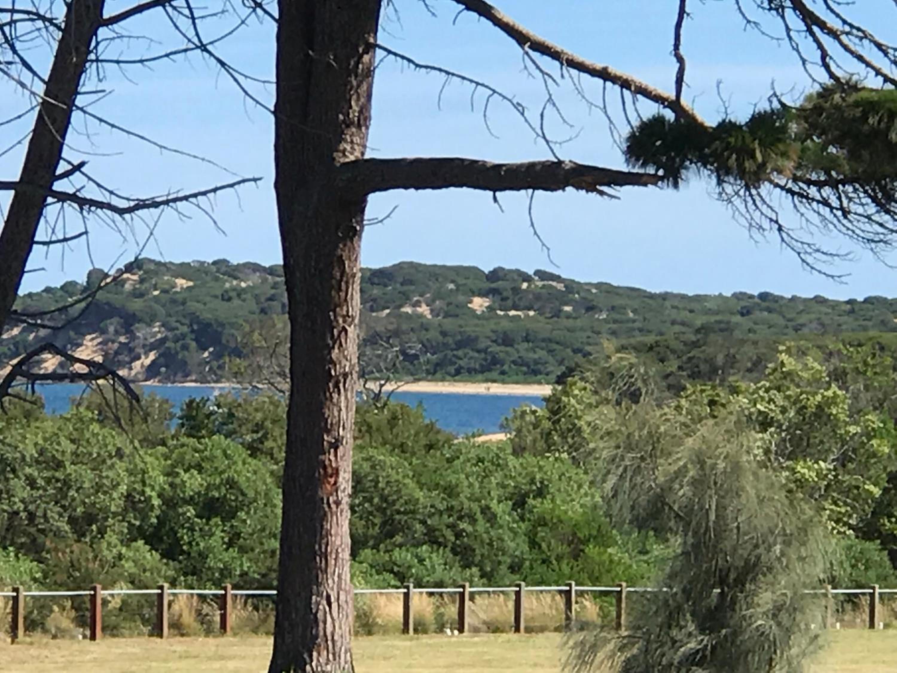 Bunya By The Sea