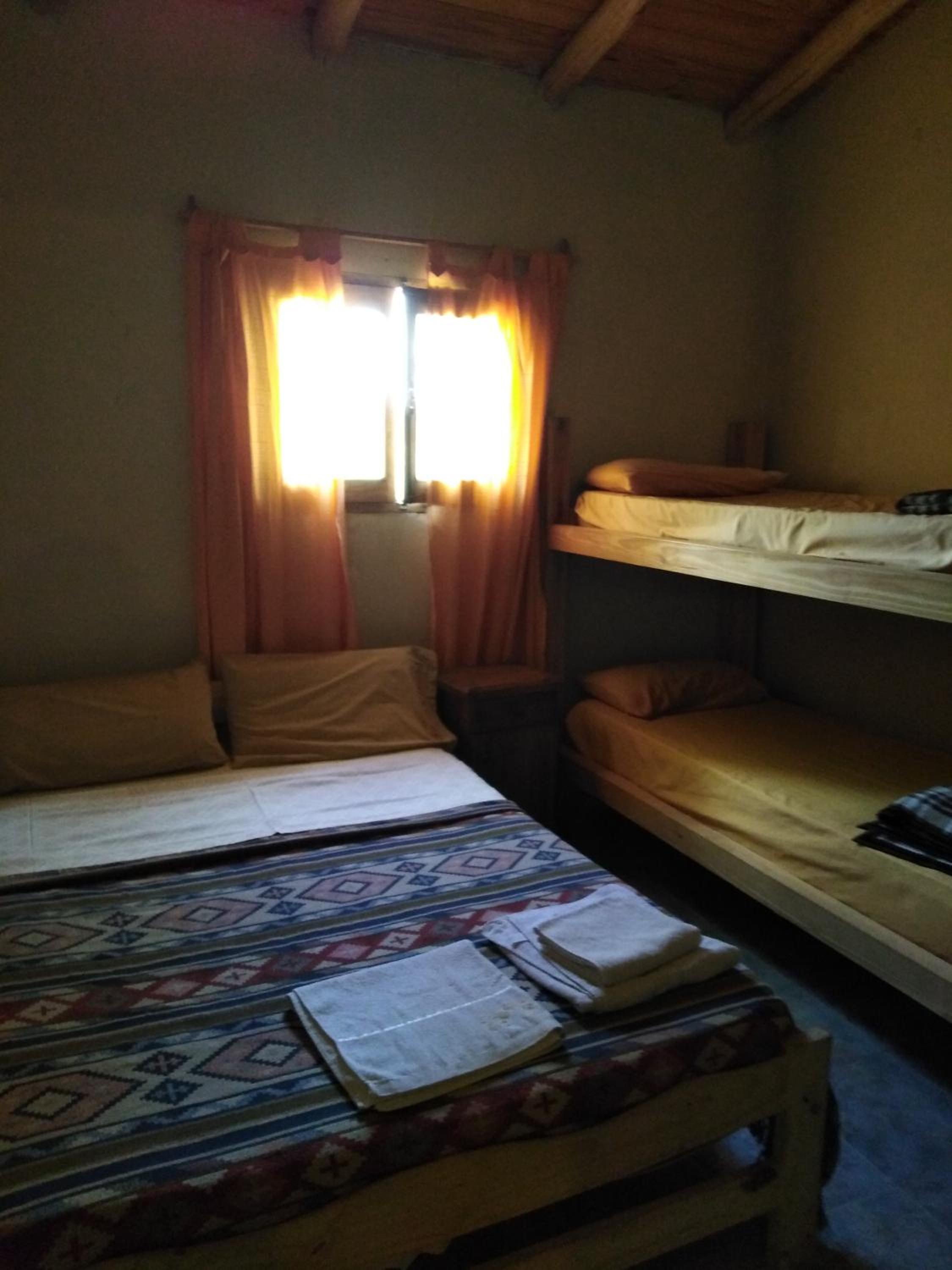 Tree House Hostel