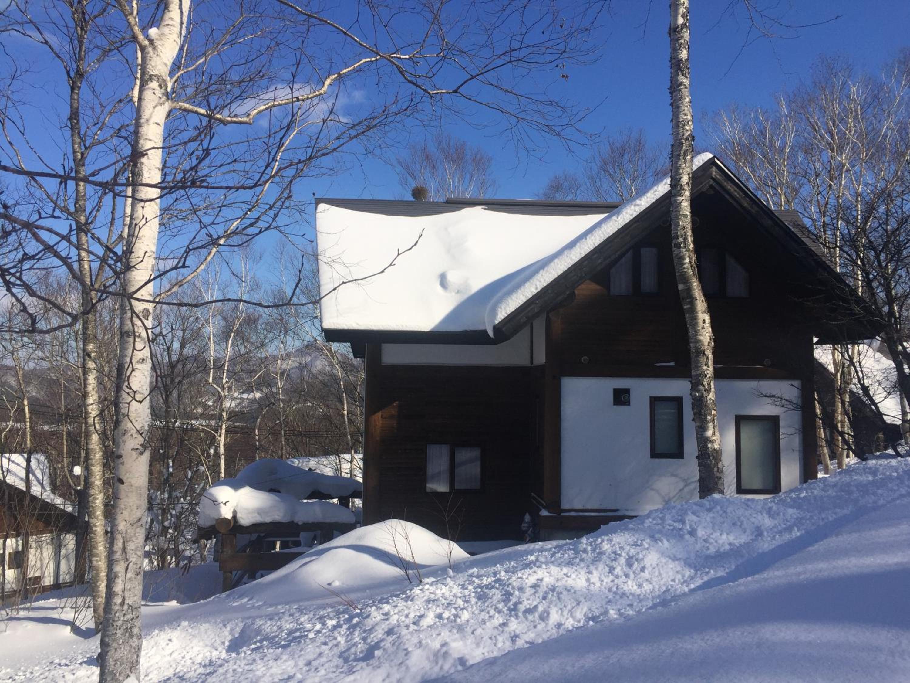 Appi Log Cabin view 3