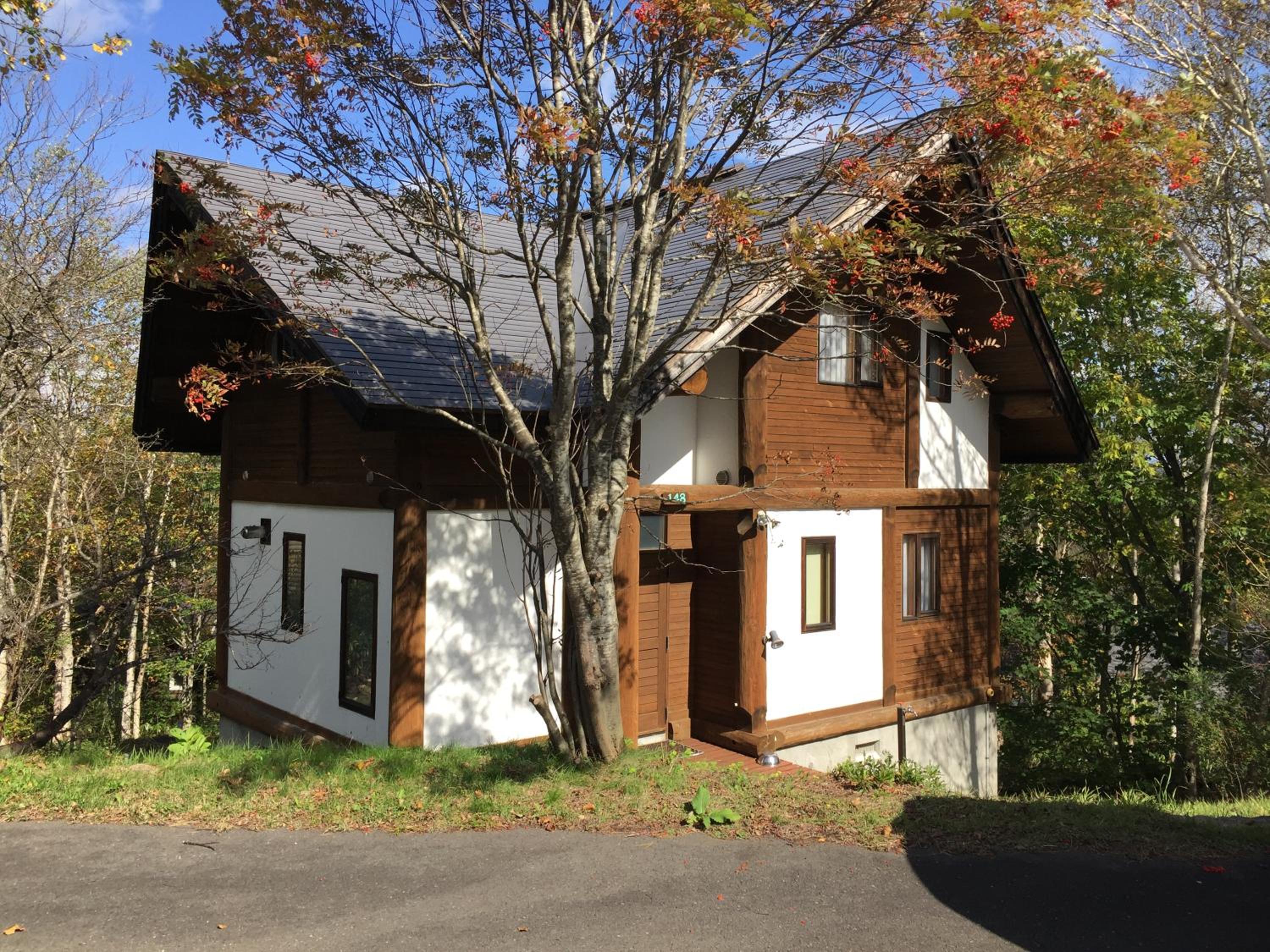 Appi Log Cabin view 5