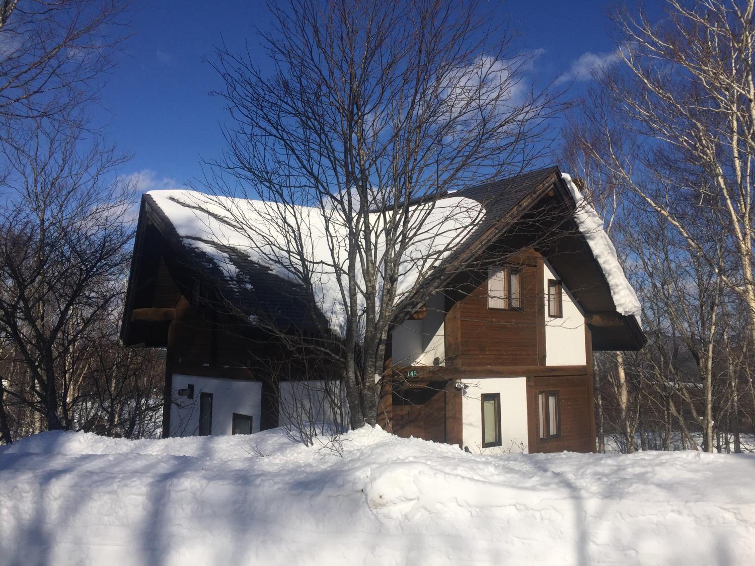 Appi Log Cabin view 2