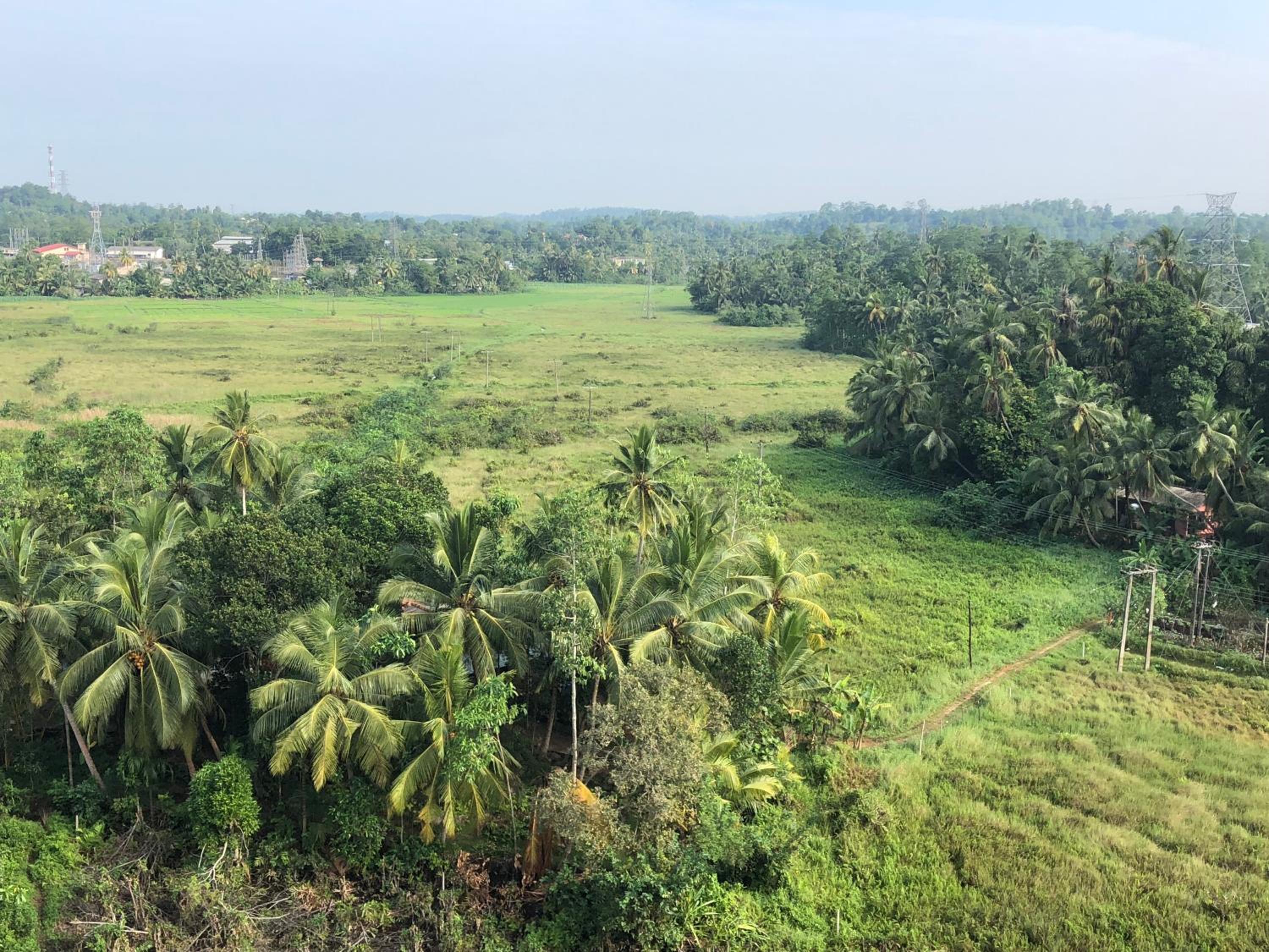 Turquoise Galle