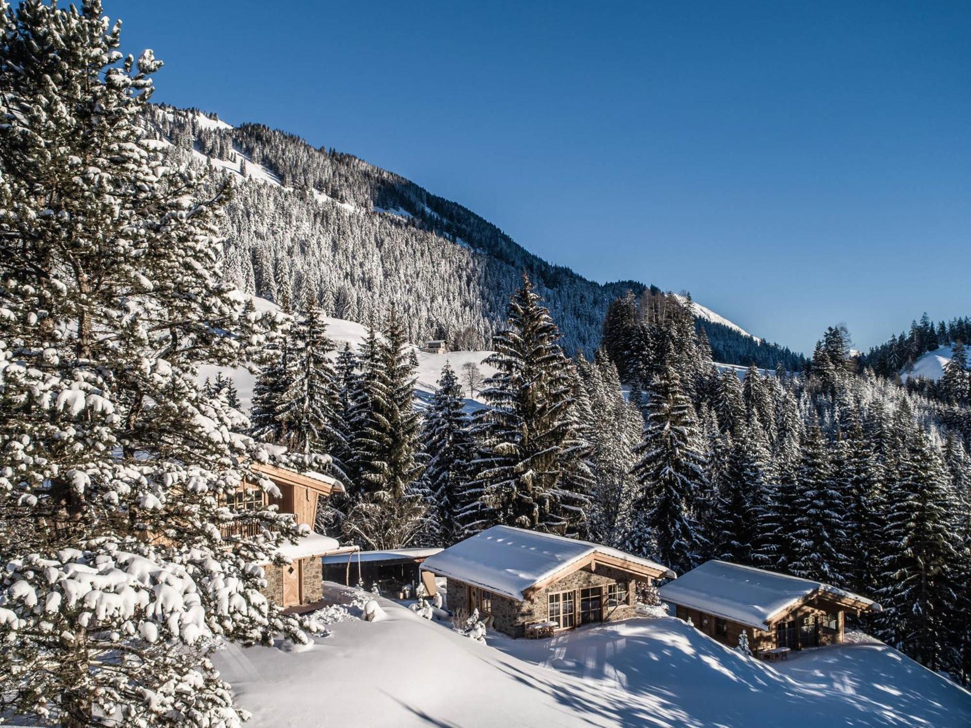 Benglerwald Berg Chaletdorf