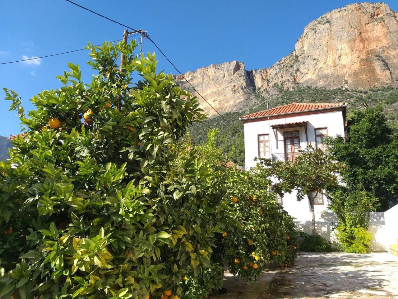 Photo 20