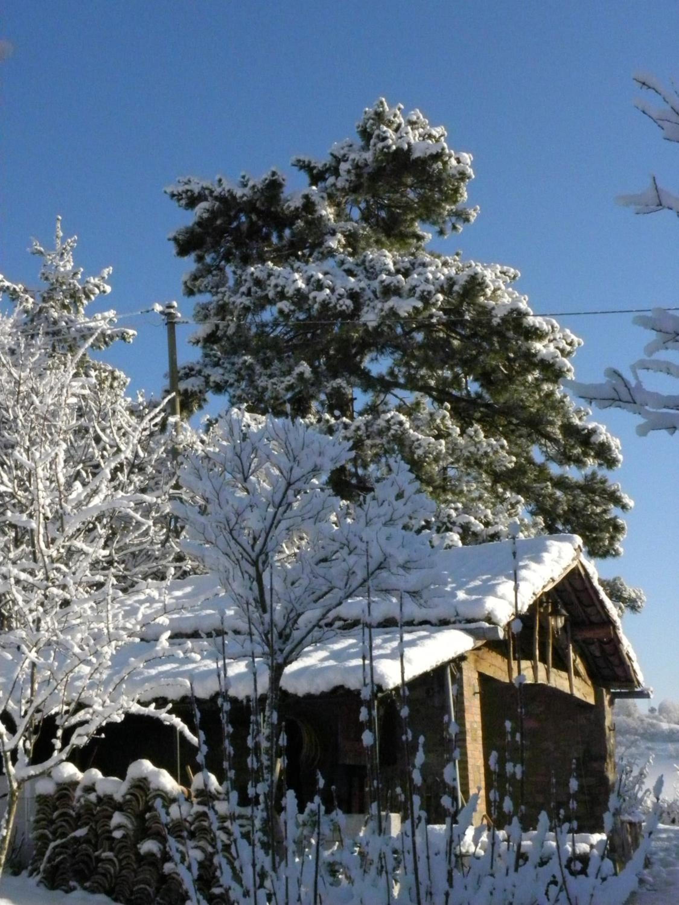 B&B Caselunghe