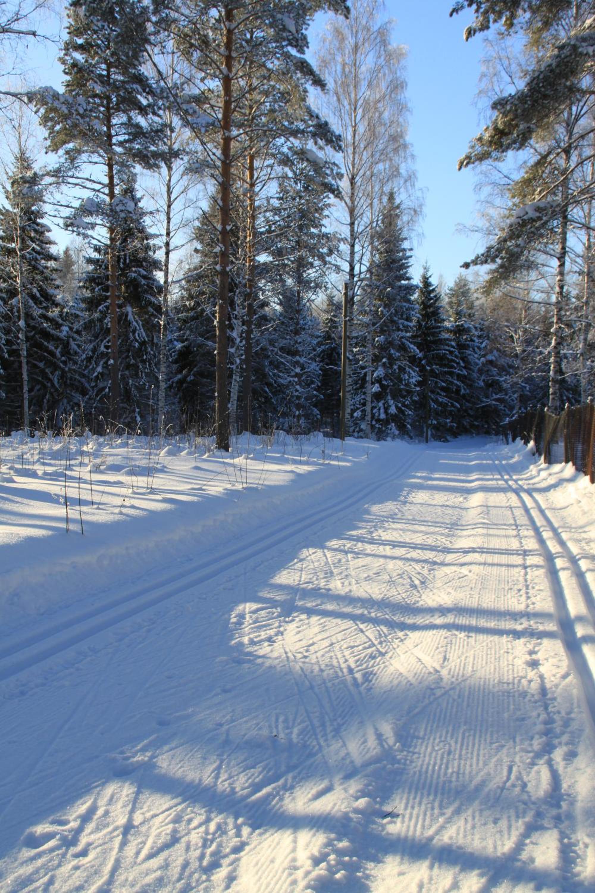 Photo 50