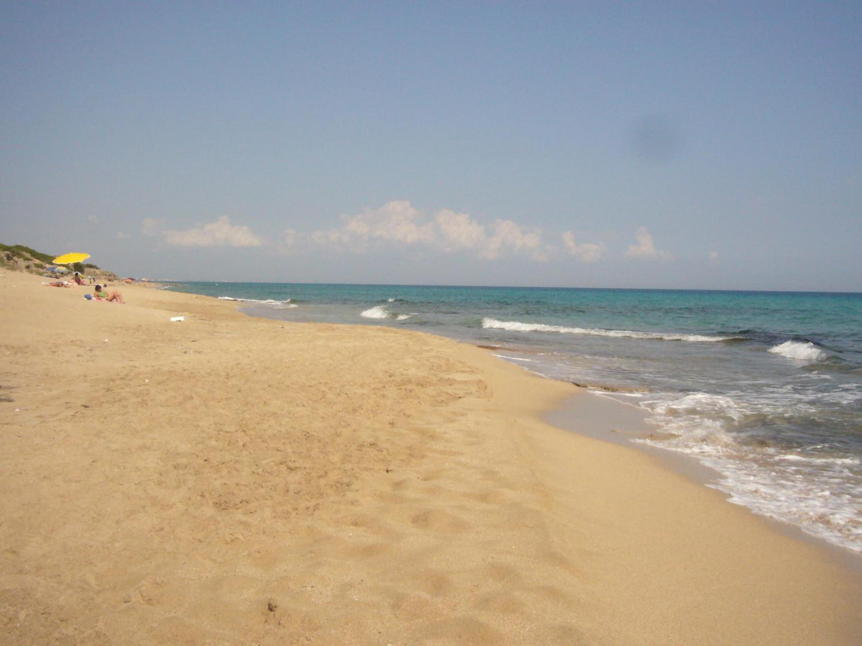 Photo 48