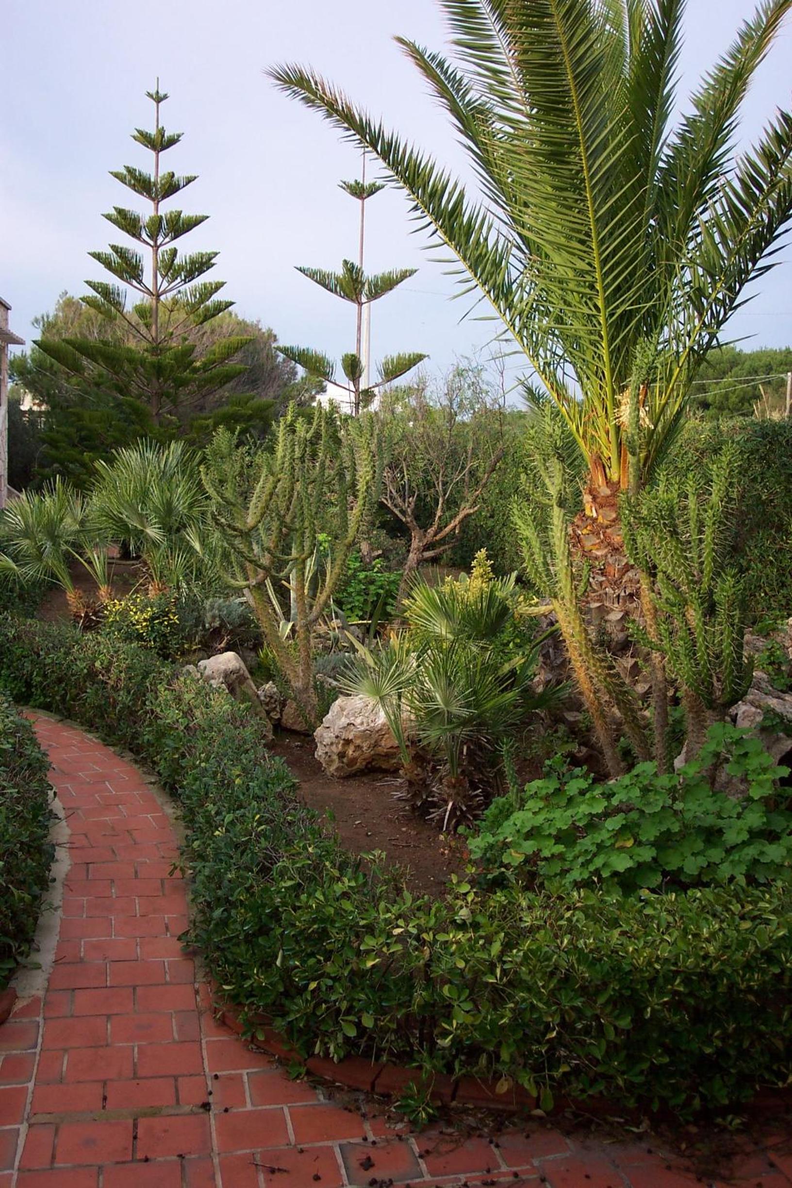 Photo 20