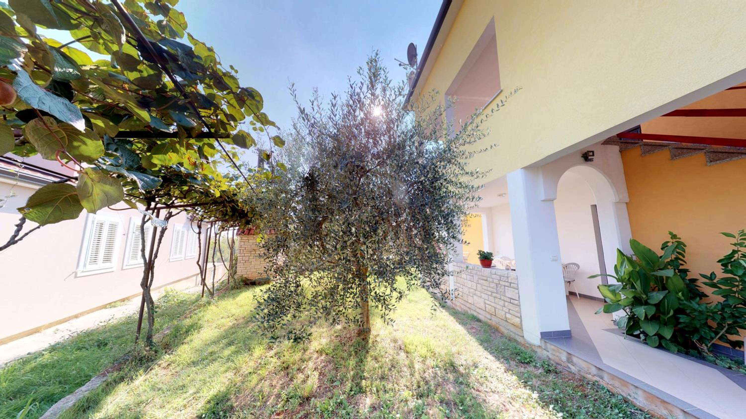 Apartments Goga view 5