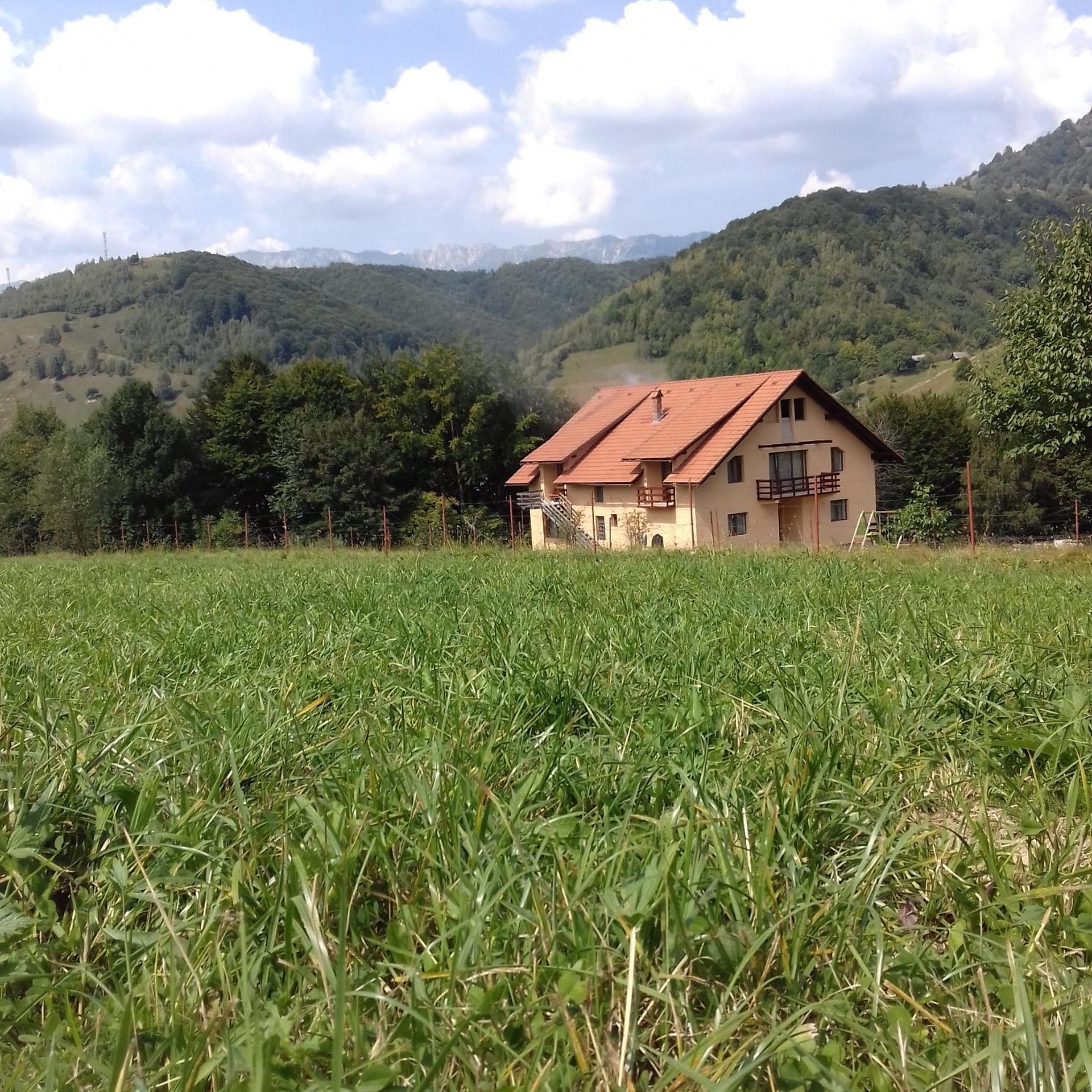 Photo 44