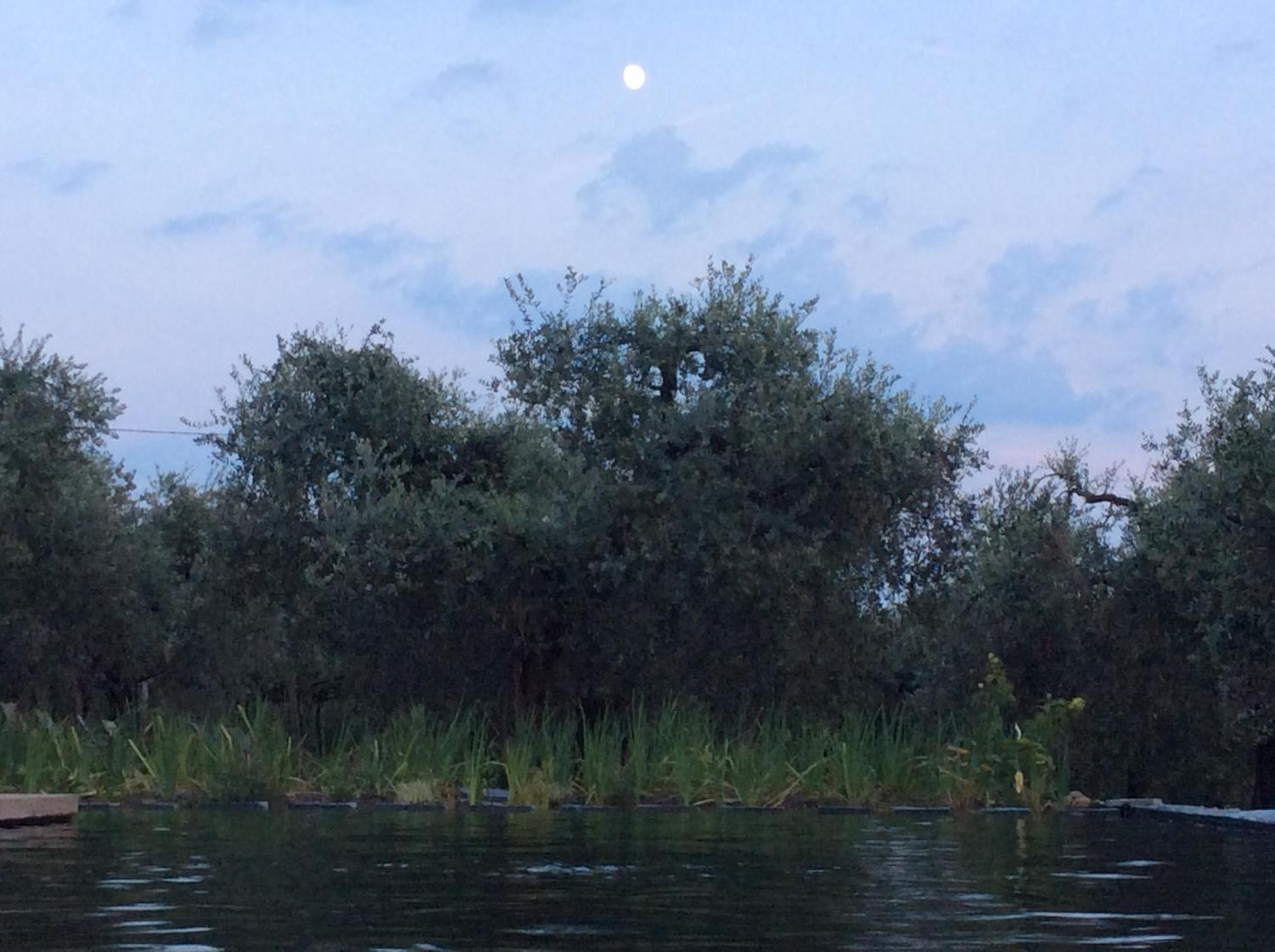La Luna - dependance view 5