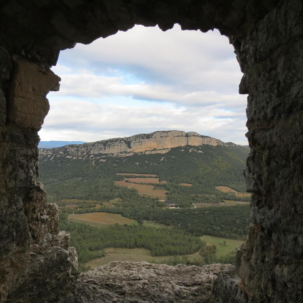 Le Castellas du Pic St Loup