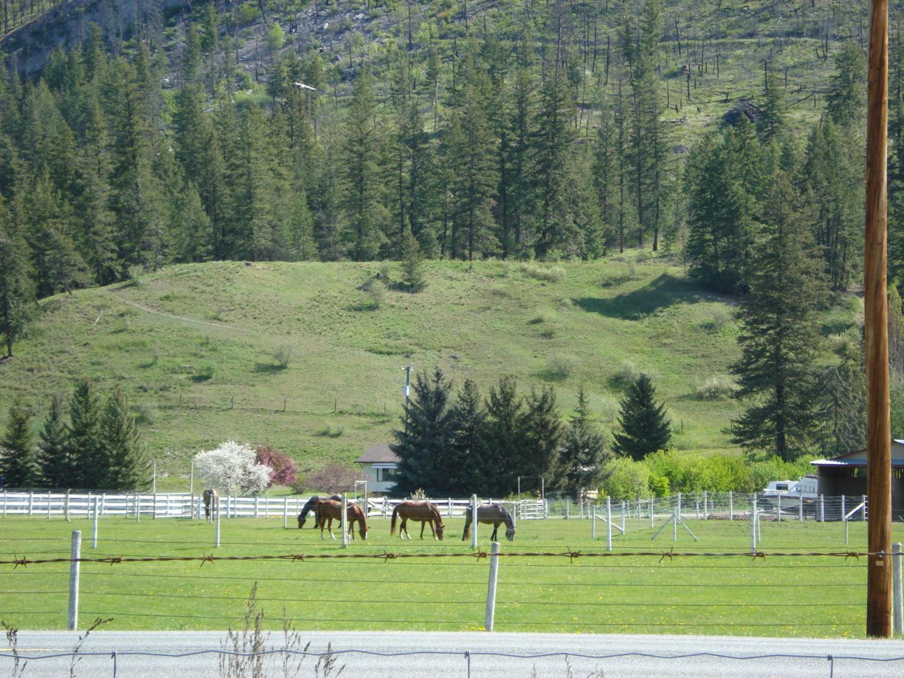 Photo 26