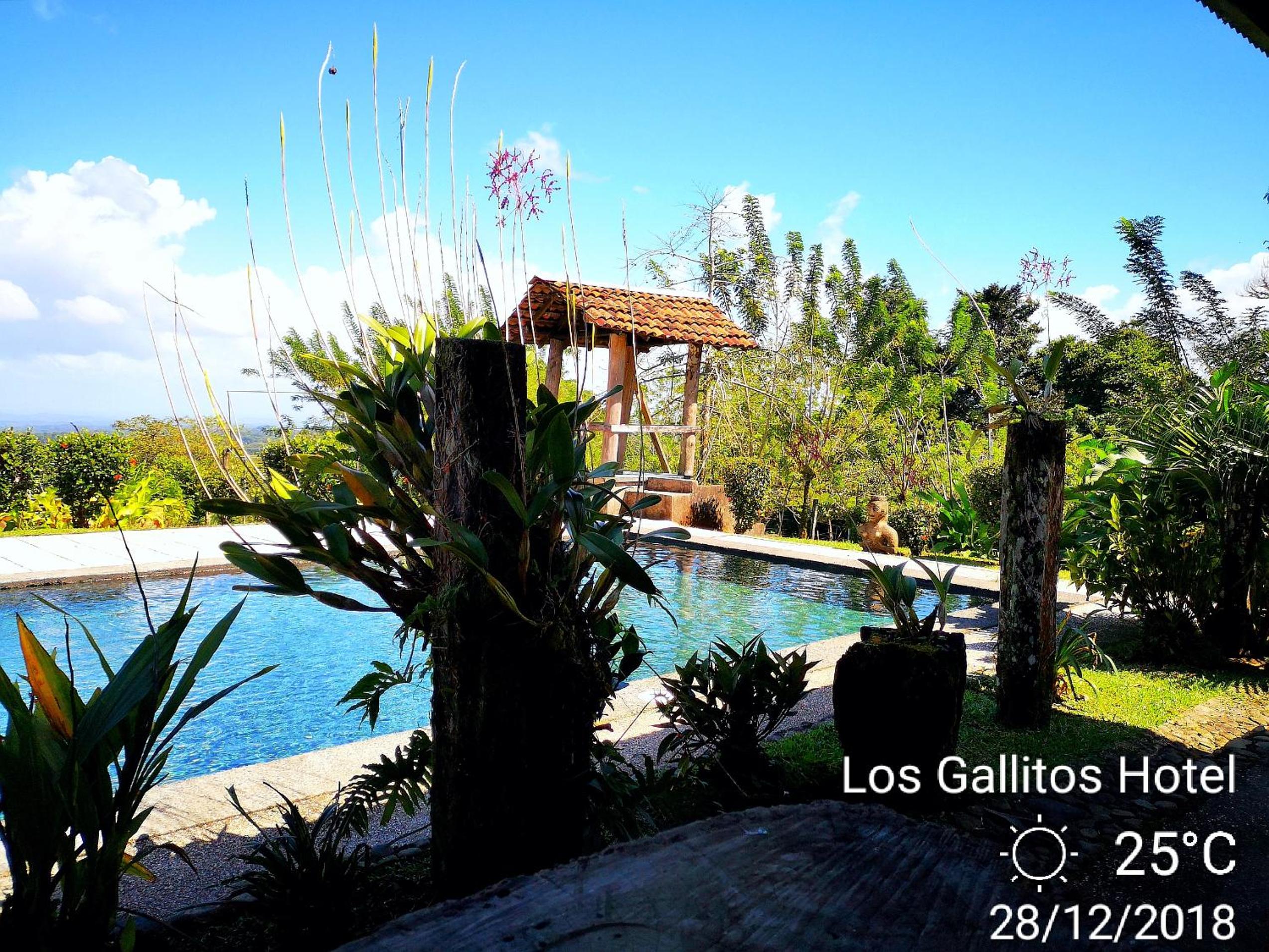 Los Gallitos Eco Lodge view 2