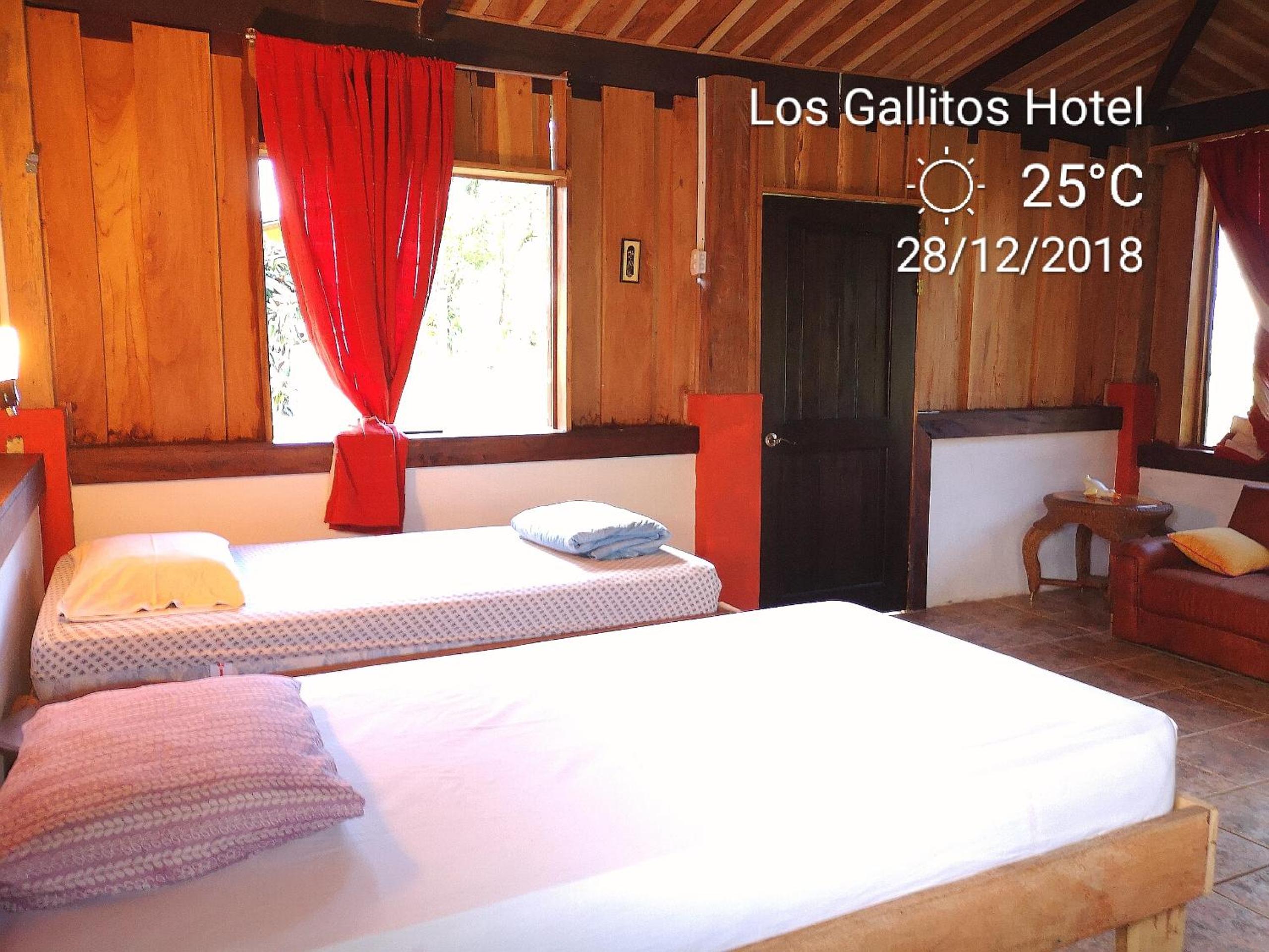 Los Gallitos Eco Lodge view 5
