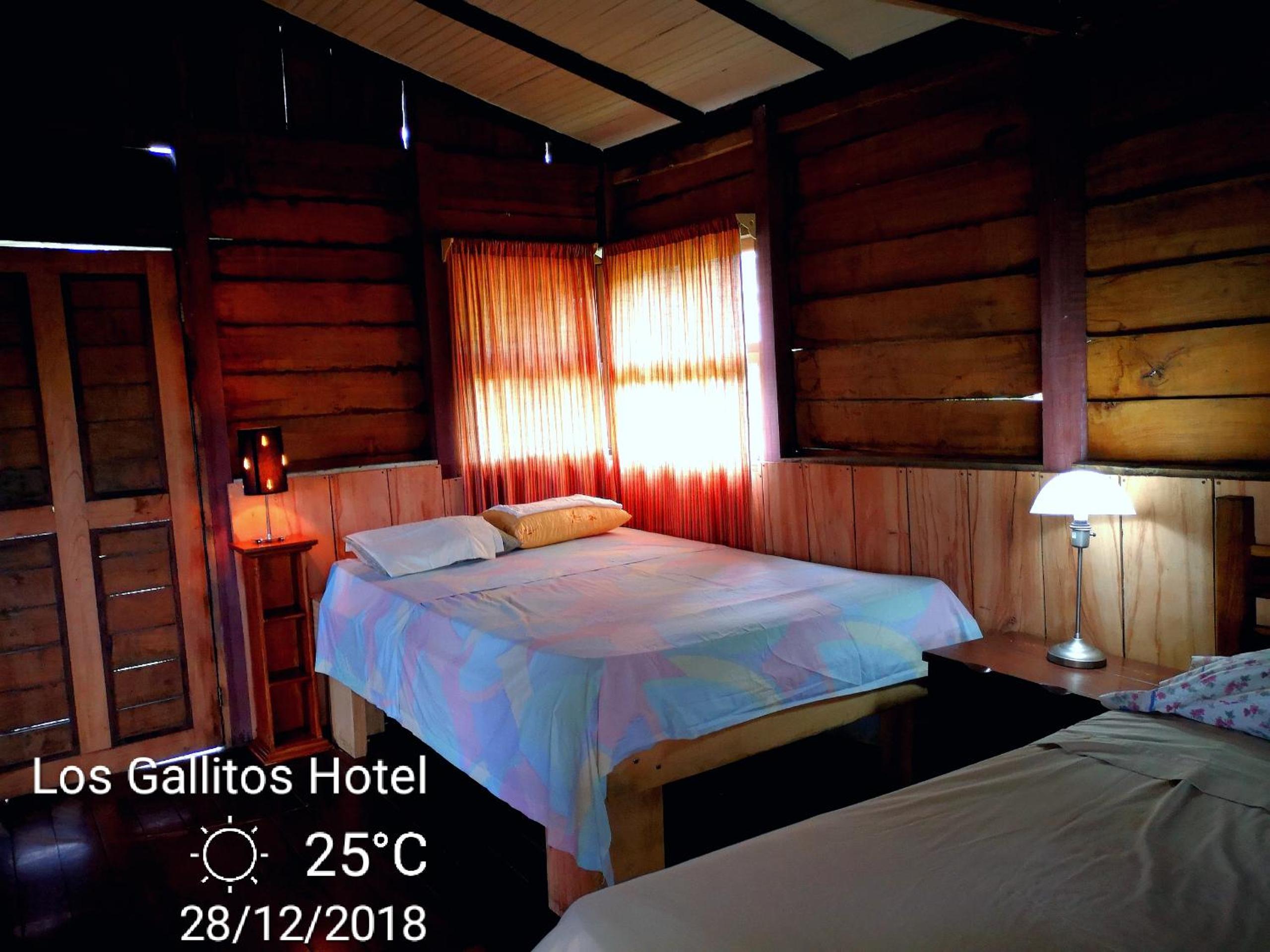 Los Gallitos Eco Lodge view 3
