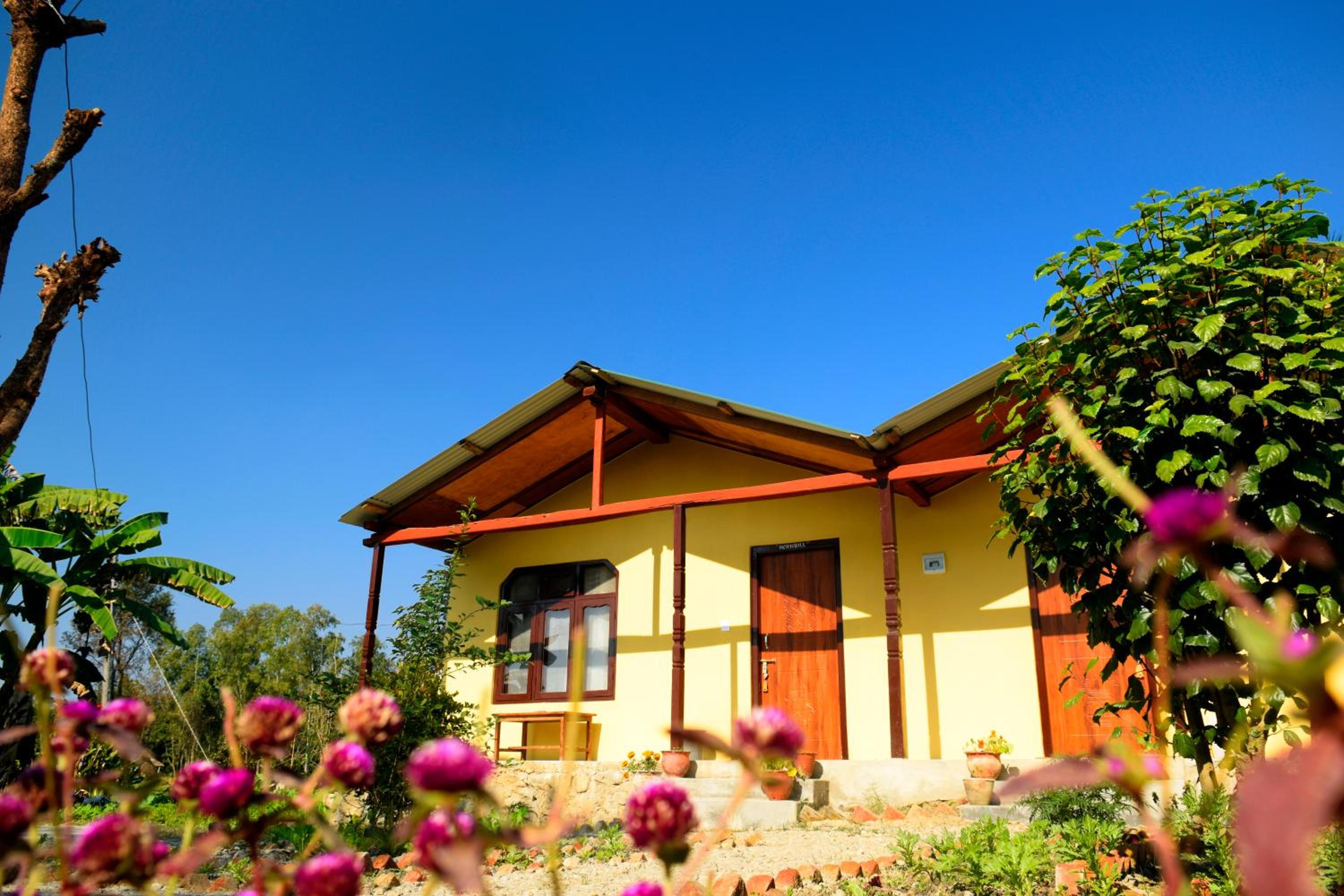 Nature Safari Resort
