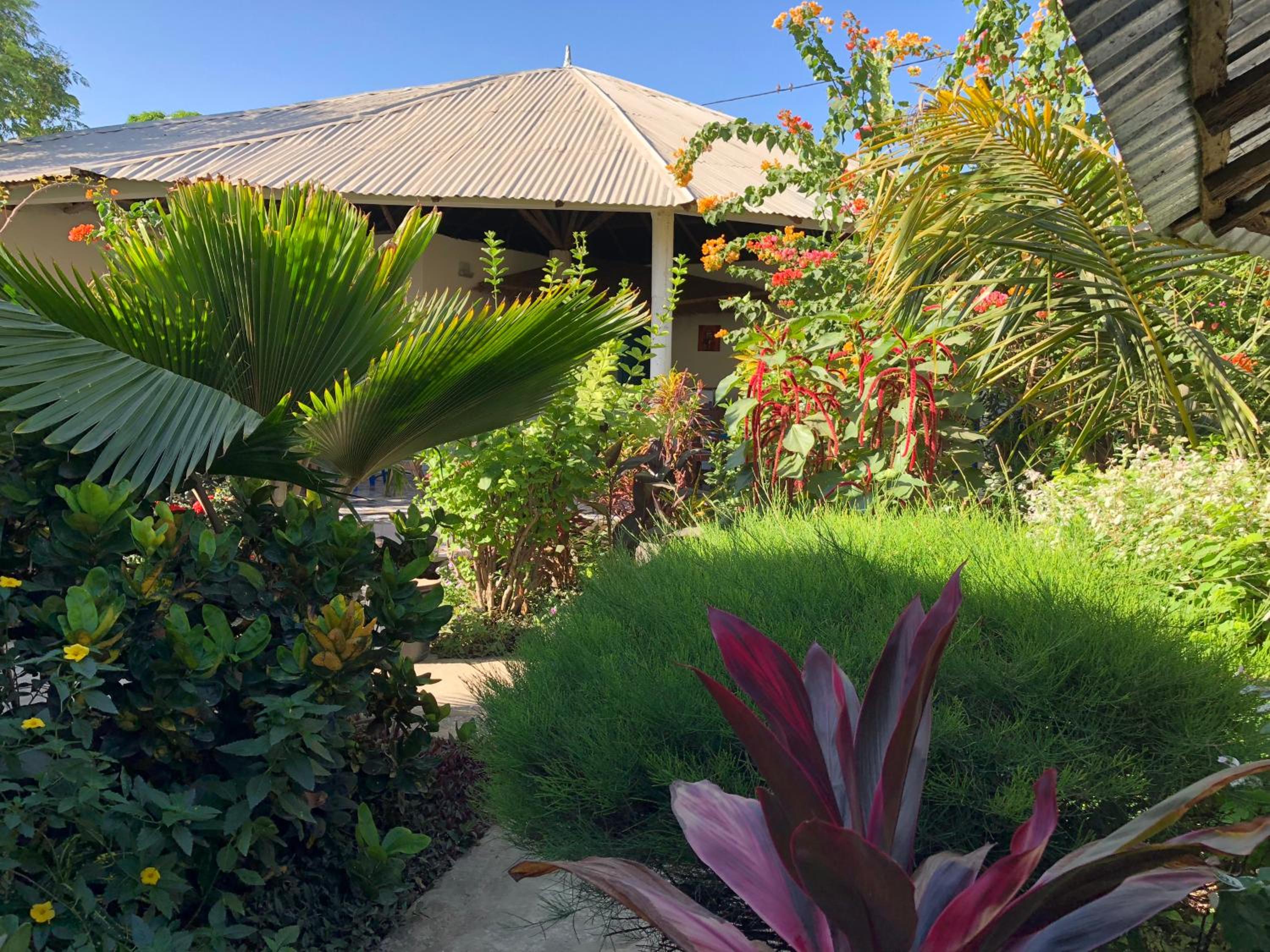 Guesthouse Yonol view 3