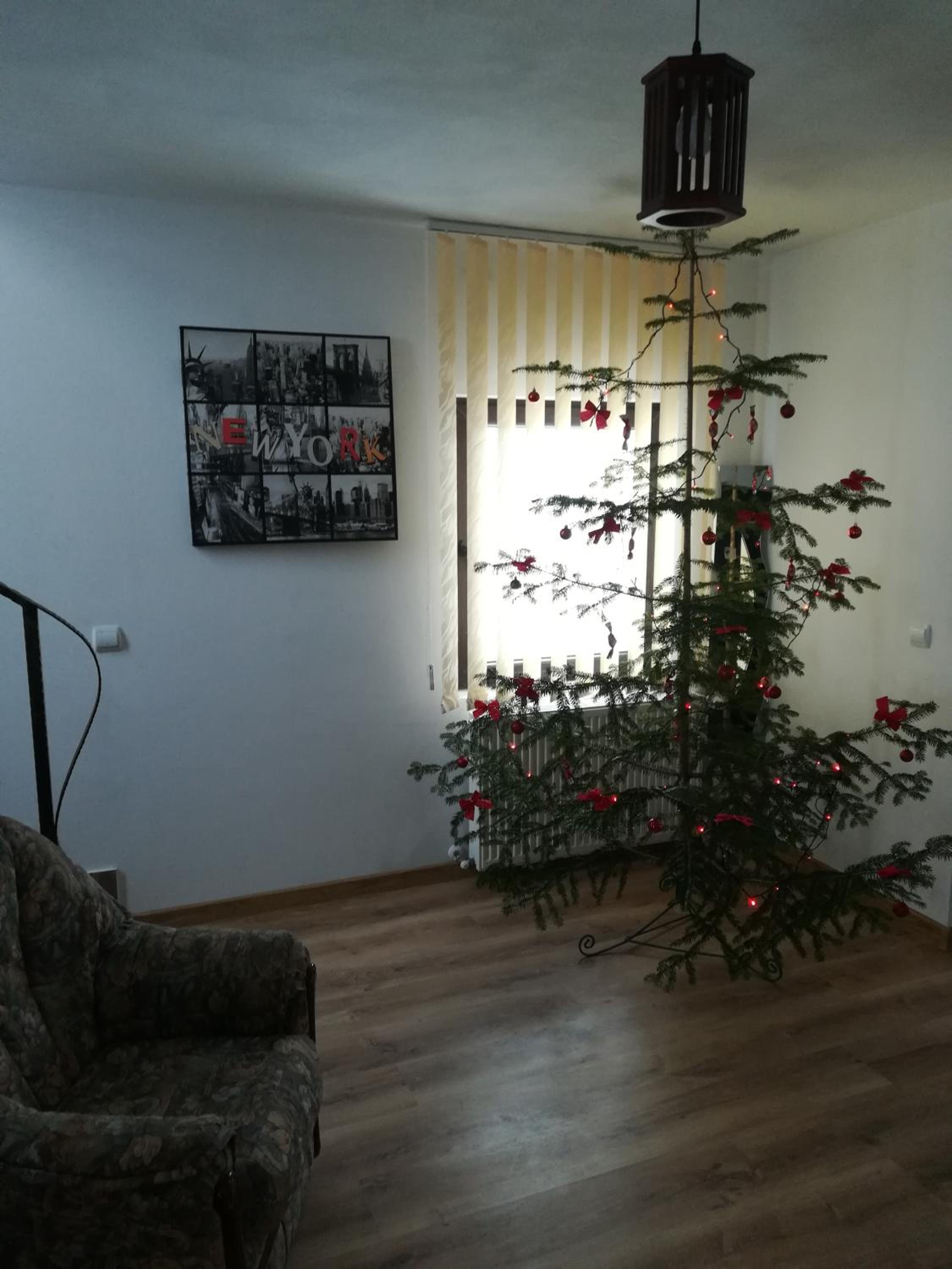 Photo 26