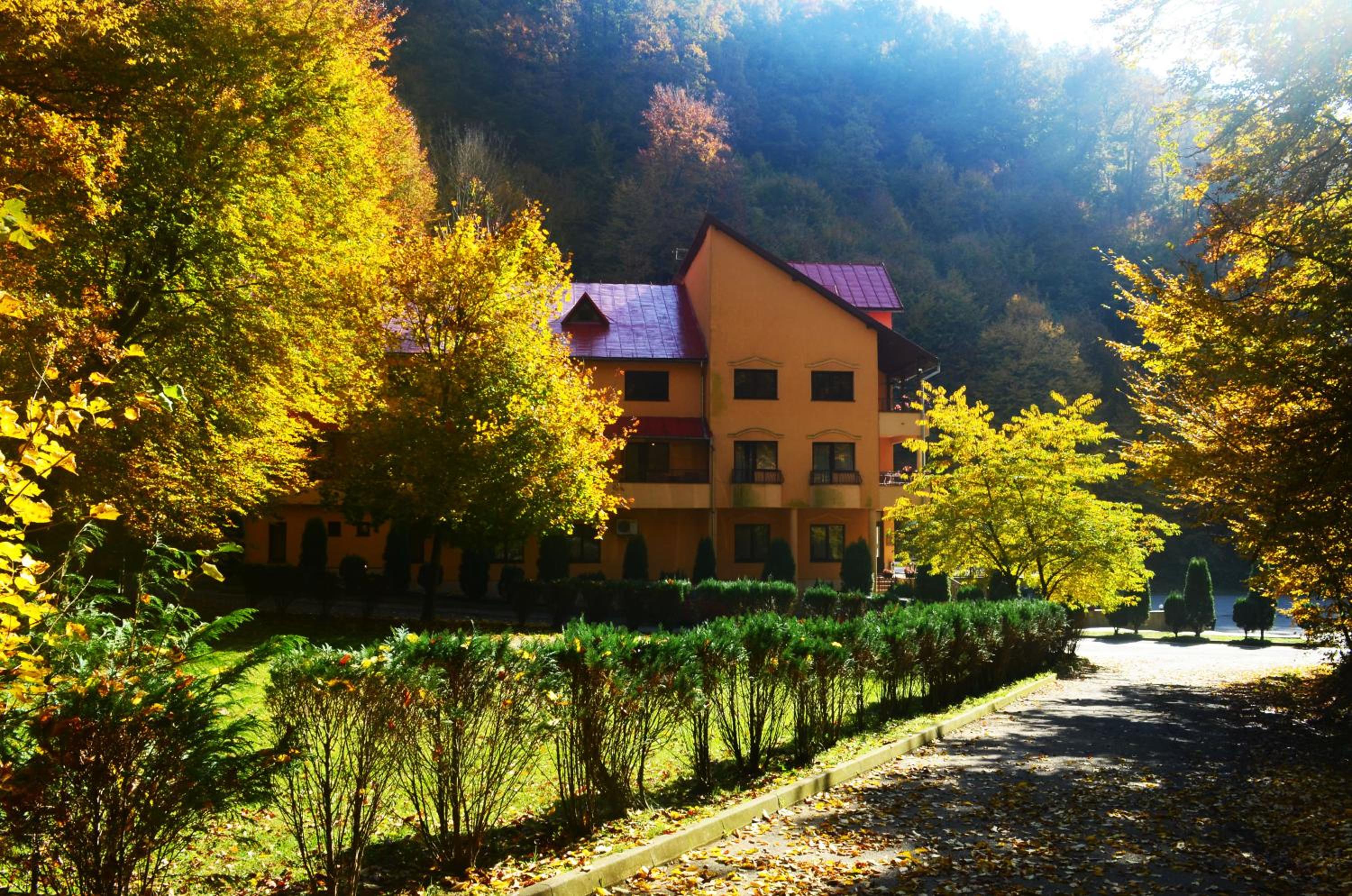 Pensiunea Magura view 5