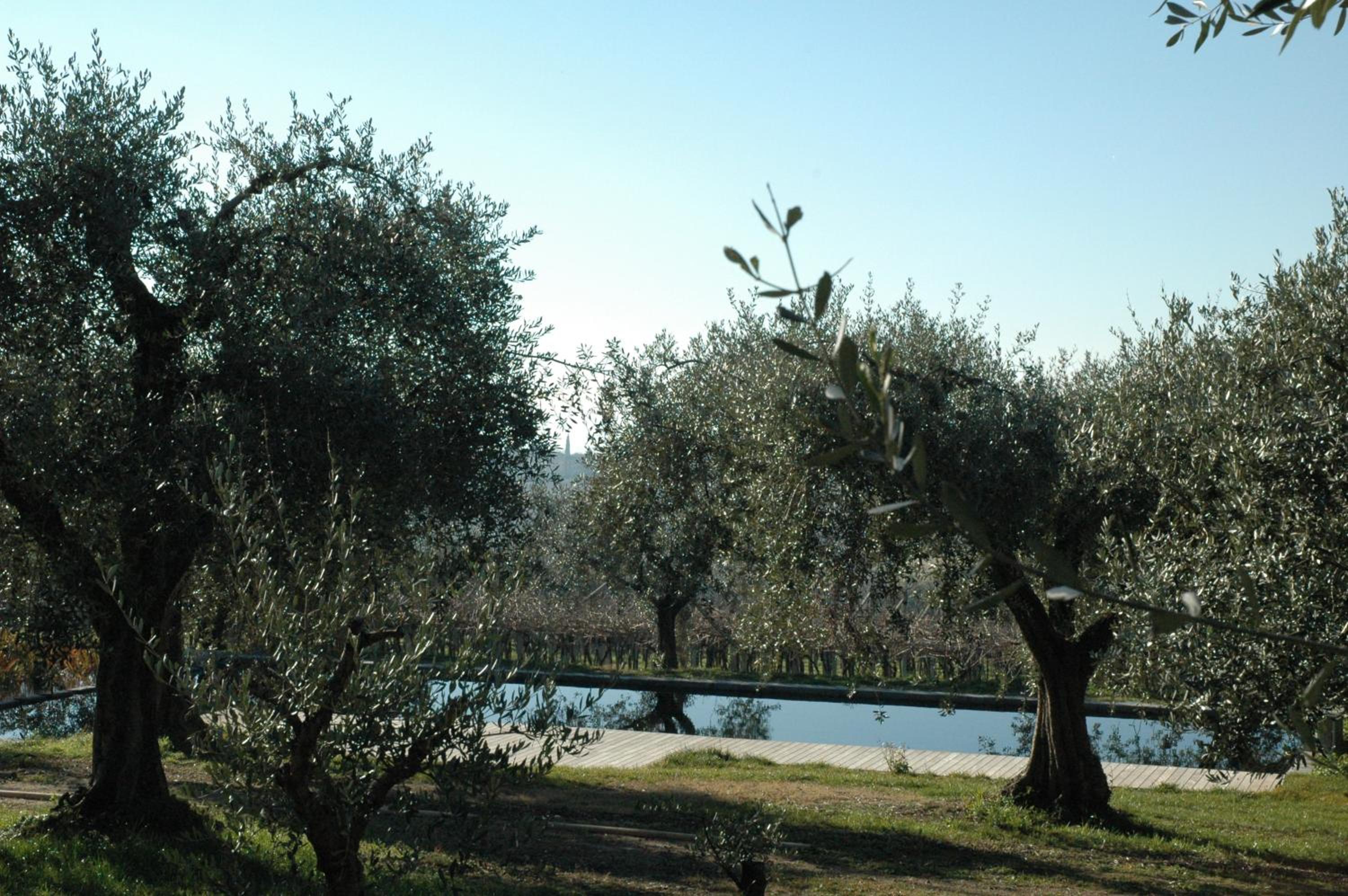 La Luna - dependance photo 2