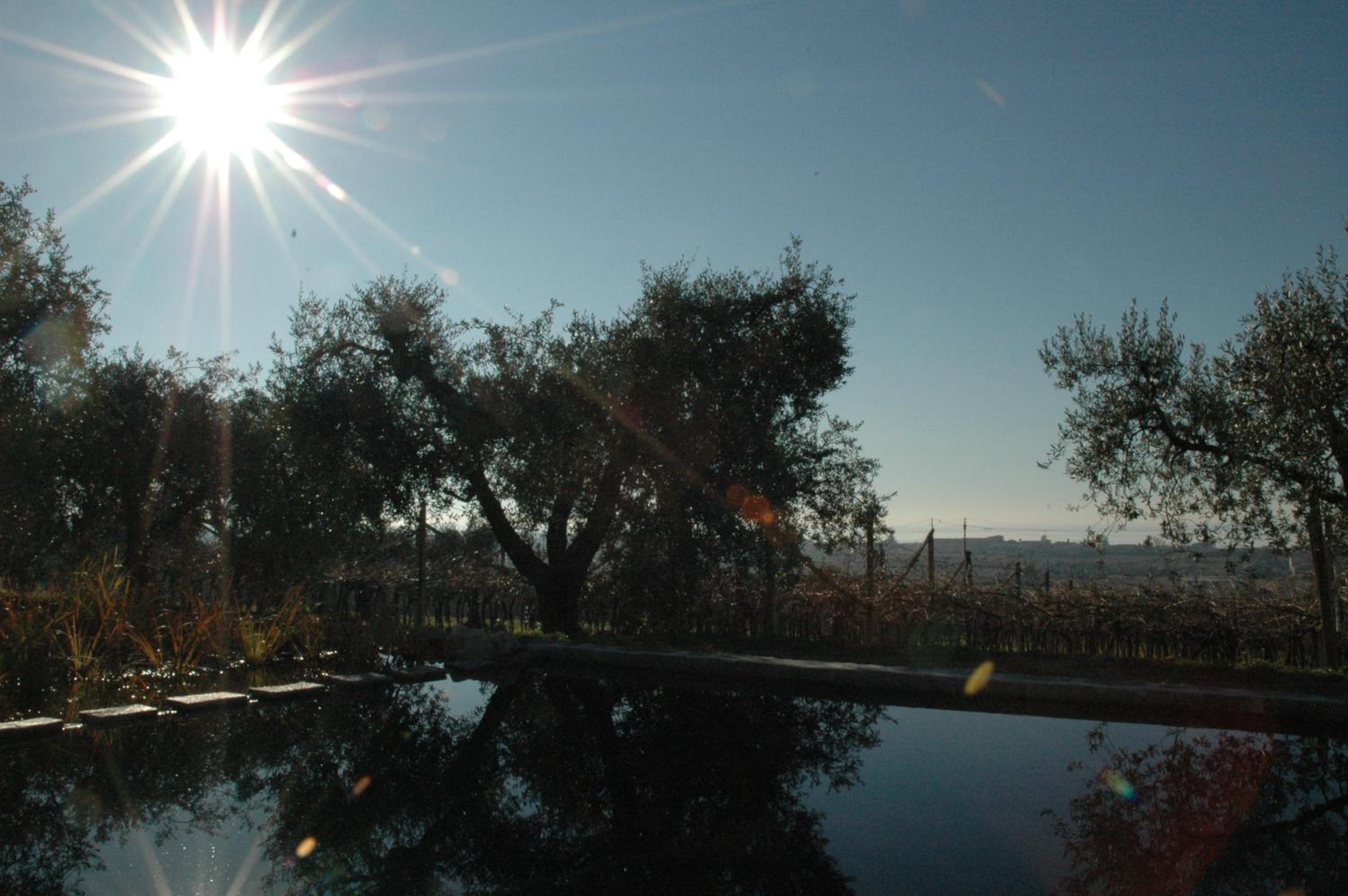 La Luna - dependance photo 3